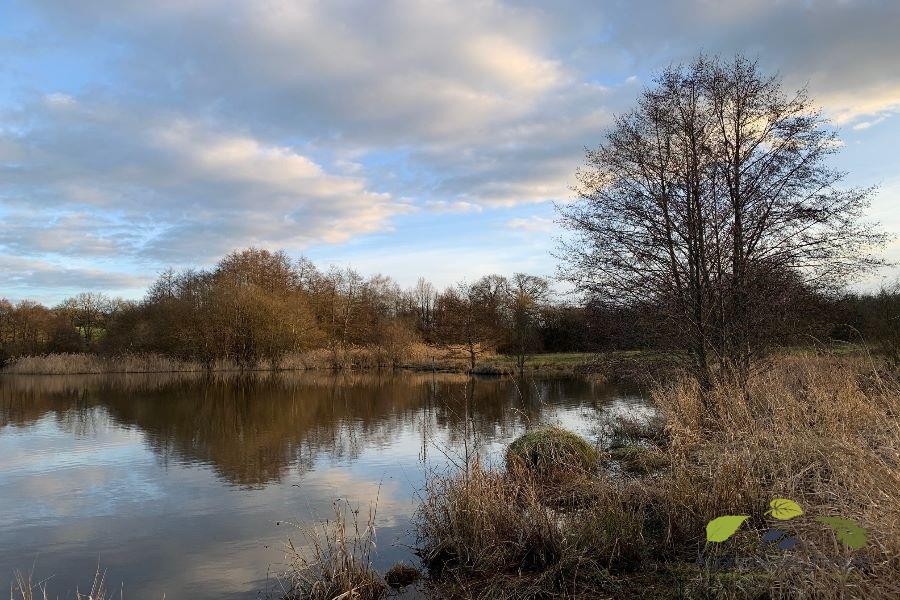 Vente Terrain à Saint-Léonard-de-Noblat 0 pièce