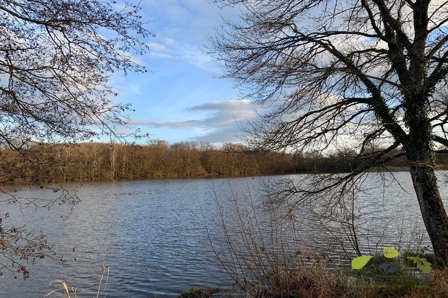 Vente Terrain à Saint-Léonard-de-Noblat 0 pièce