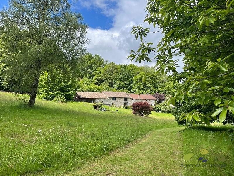 Vente Maison à Saint-Julien-le-Petit 9 pièces