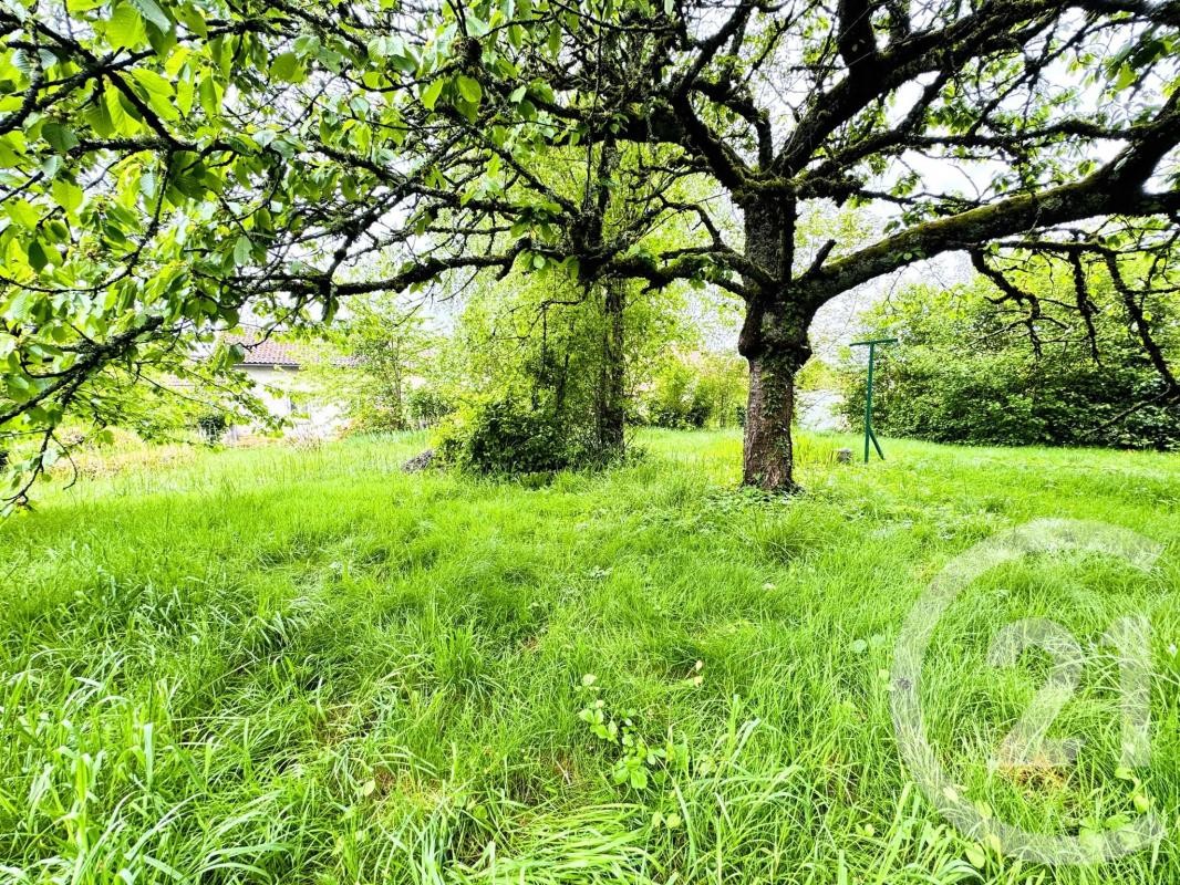 Vente Maison à Verneuil-sur-Vienne 5 pièces