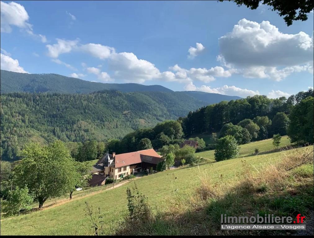 Vente Maison à Sainte-Marie-aux-Mines 15 pièces