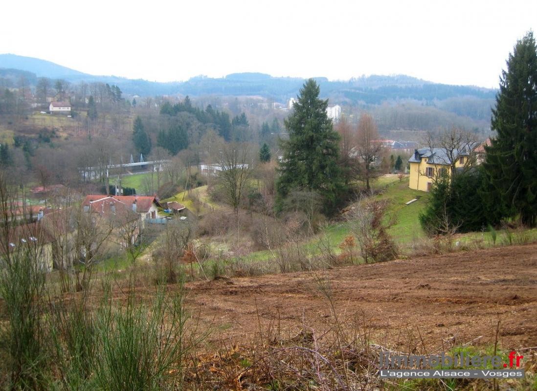 Vente Terrain à Saint-Dié-des-Vosges 0 pièce