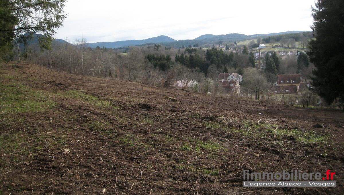 Vente Terrain à Saint-Dié-des-Vosges 0 pièce