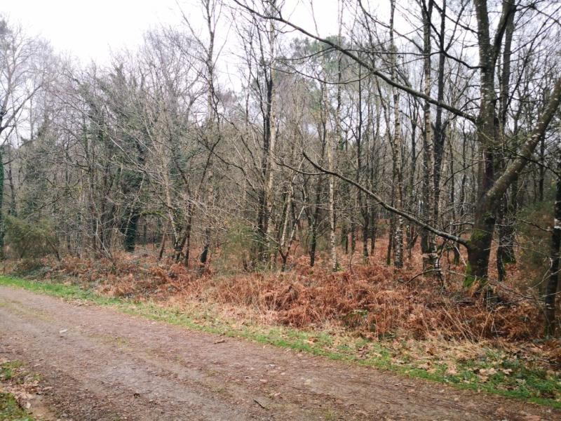 Vente Terrain à Péaule 0 pièce