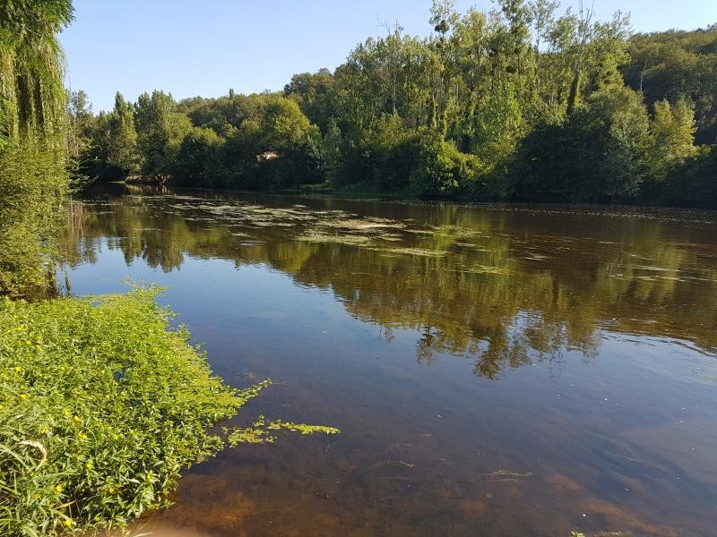 Vente Terrain à Bonneuil-Matours 0 pièce