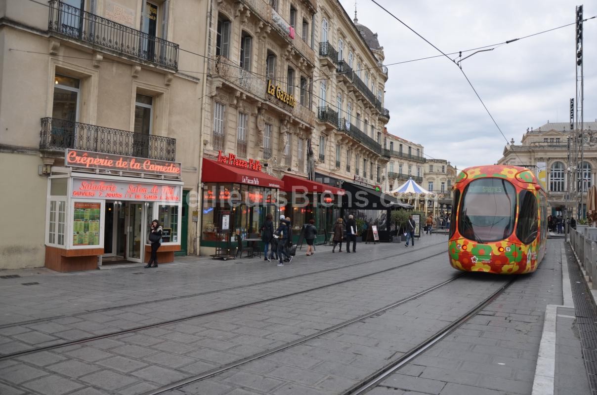 Location Appartement à Montpellier 2 pièces