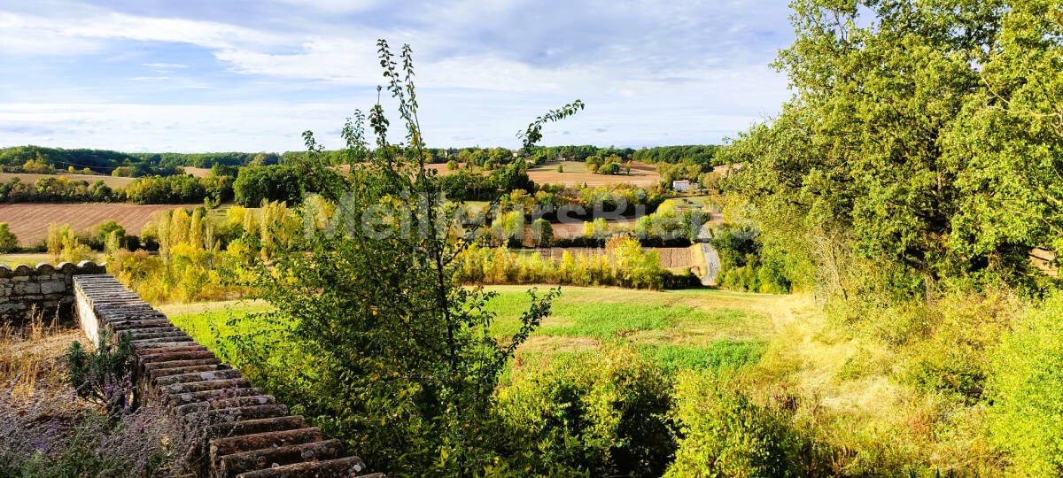 Vente Maison à Villeneuve-sur-Vère 7 pièces