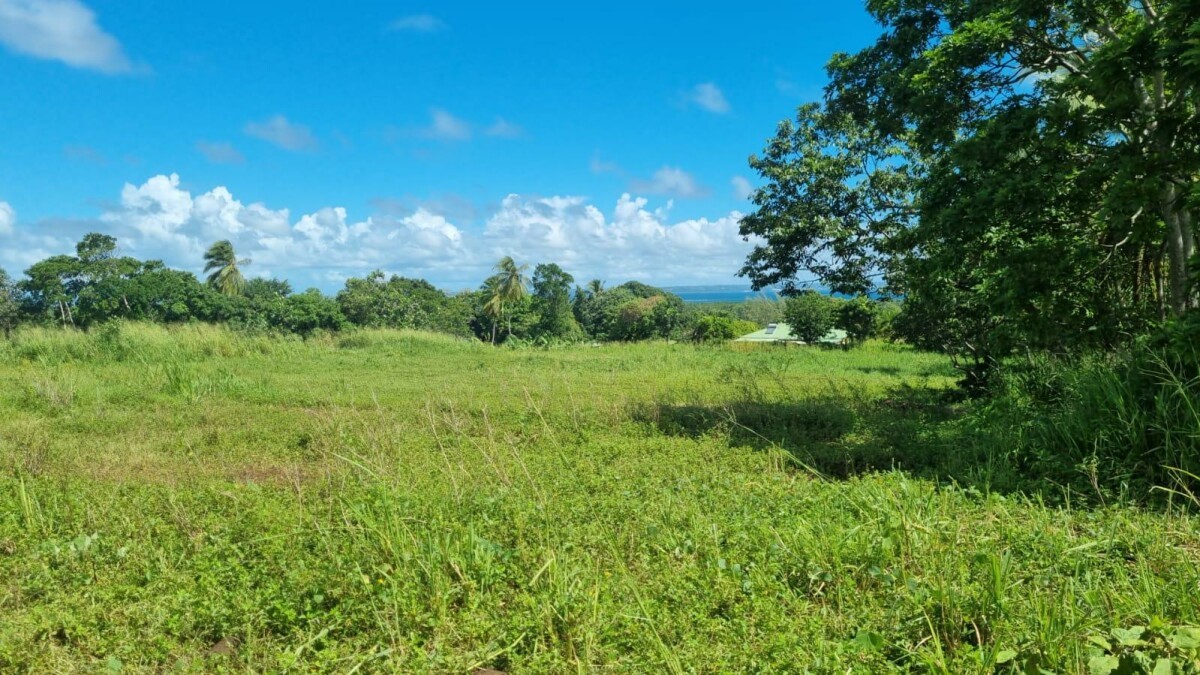 Vente Terrain à Goyave 0 pièce