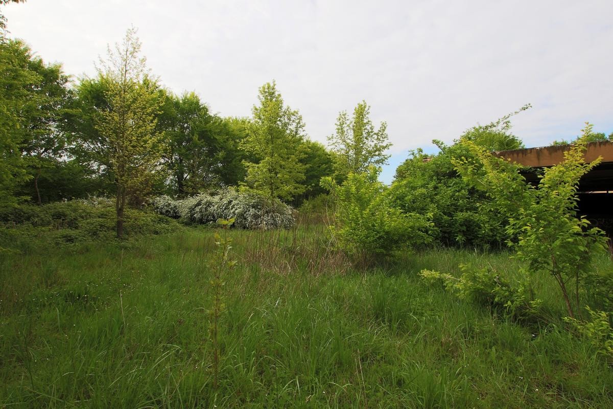 Vente Terrain à Château-Thierry 0 pièce