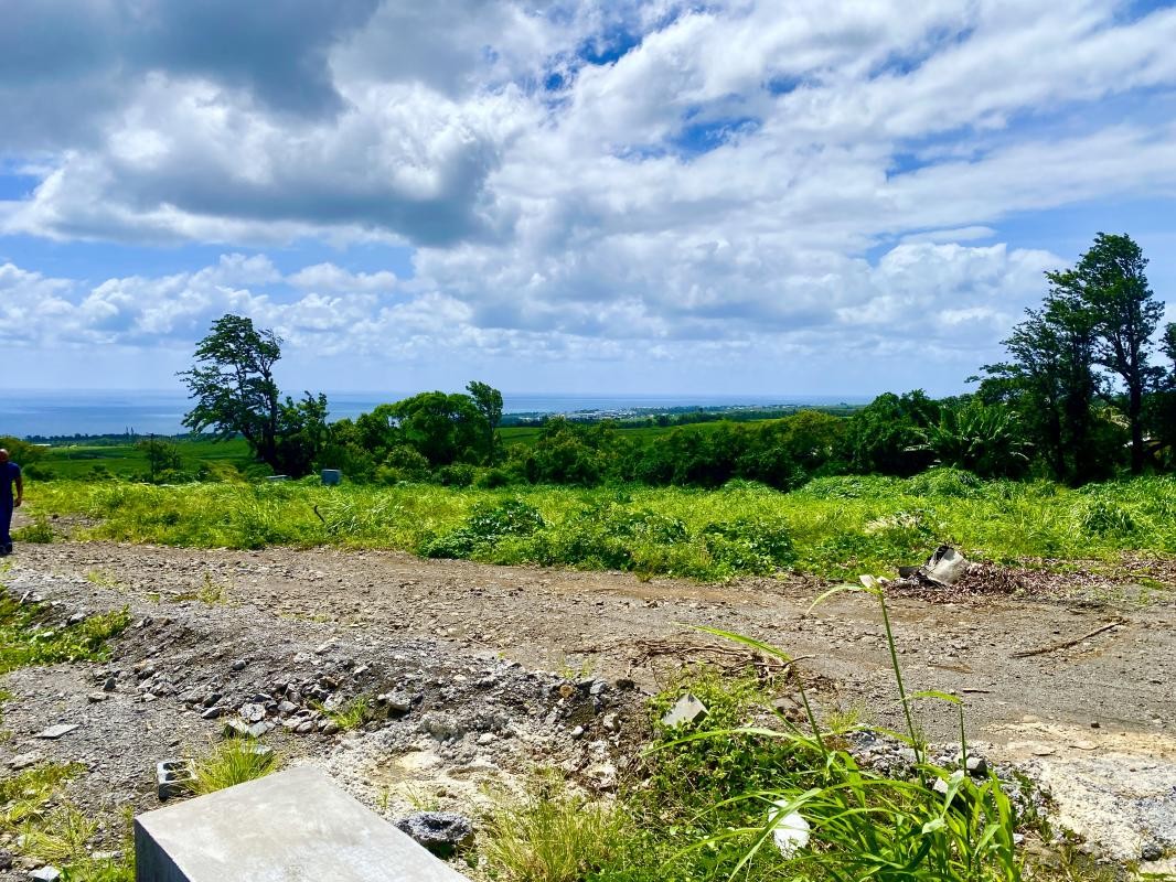 Vente Terrain à Sainte-Marie 0 pièce