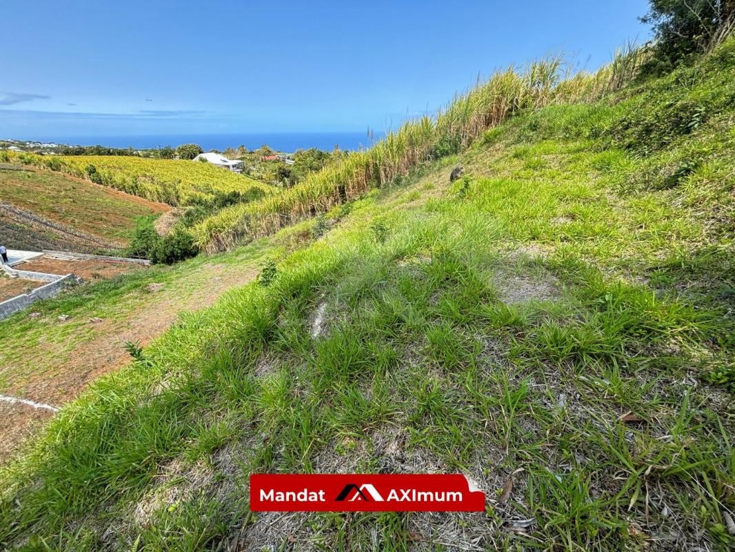 Vente Terrain à Saint-Pierre 0 pièce