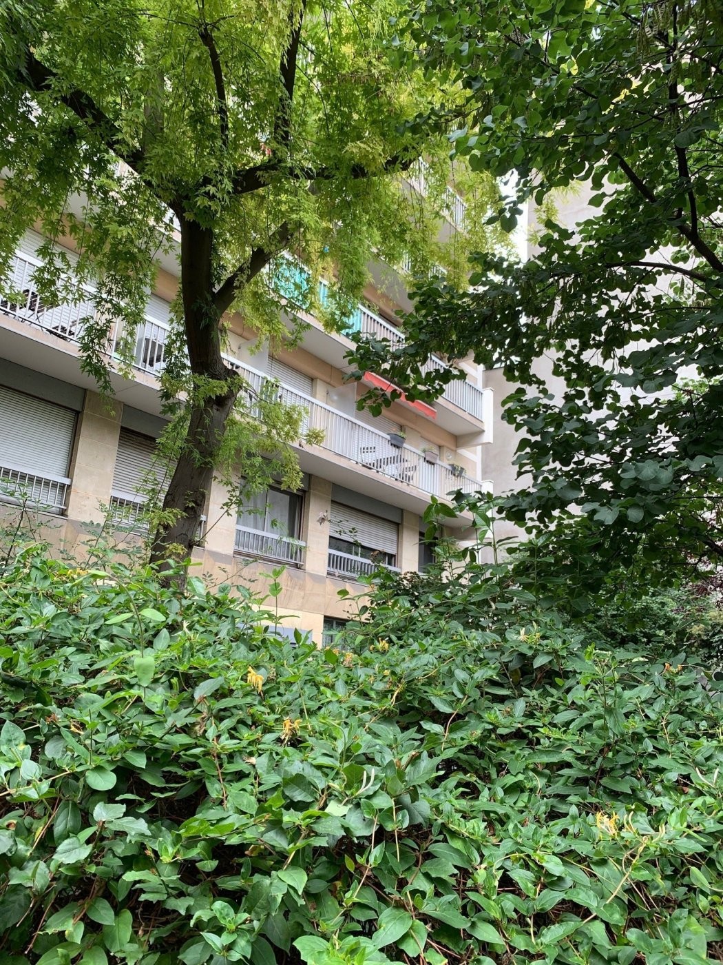 Vente Appartement à Paris Entrepôt 10e arrondissement 3 pièces