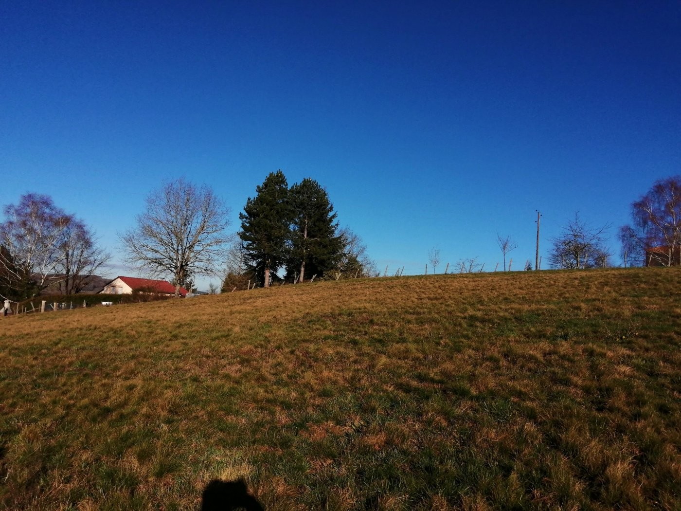 Vente Terrain à Saint-Gérons 0 pièce