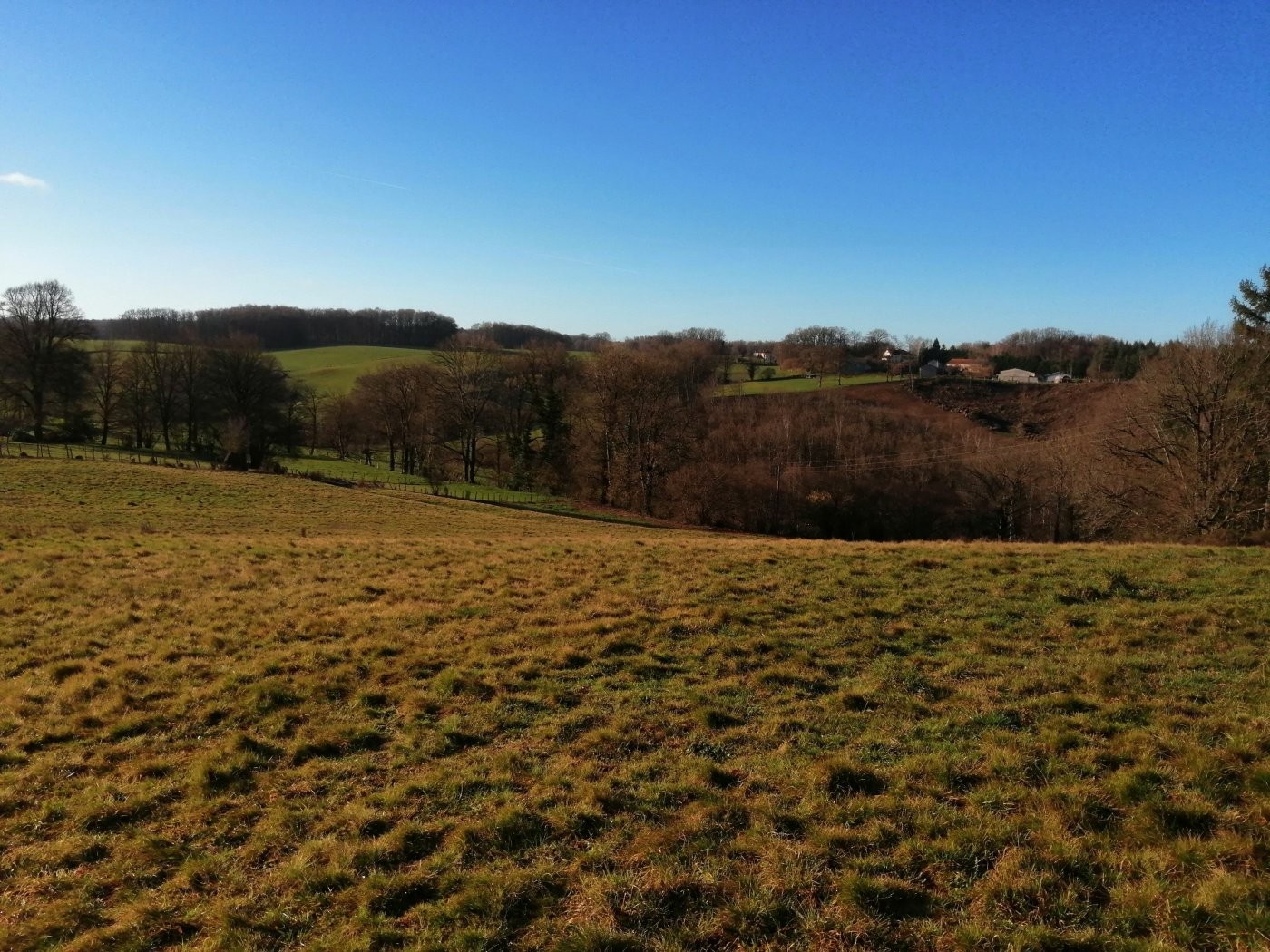 Vente Terrain à Saint-Gérons 0 pièce