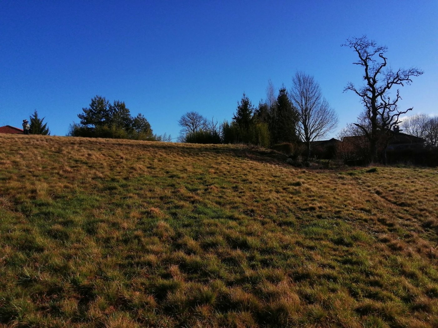 Vente Terrain à Saint-Gérons 0 pièce