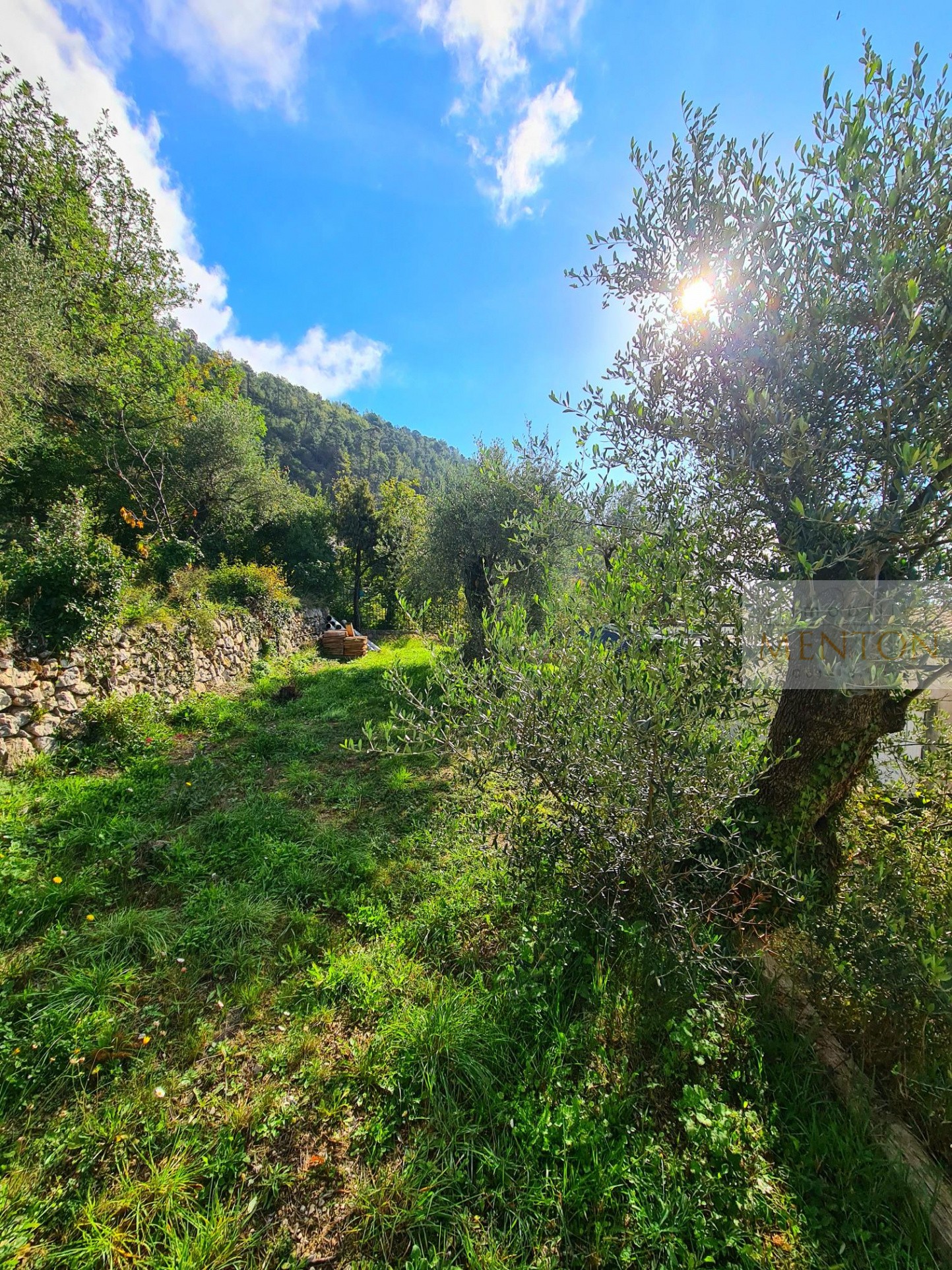 Vente Maison à Menton 3 pièces