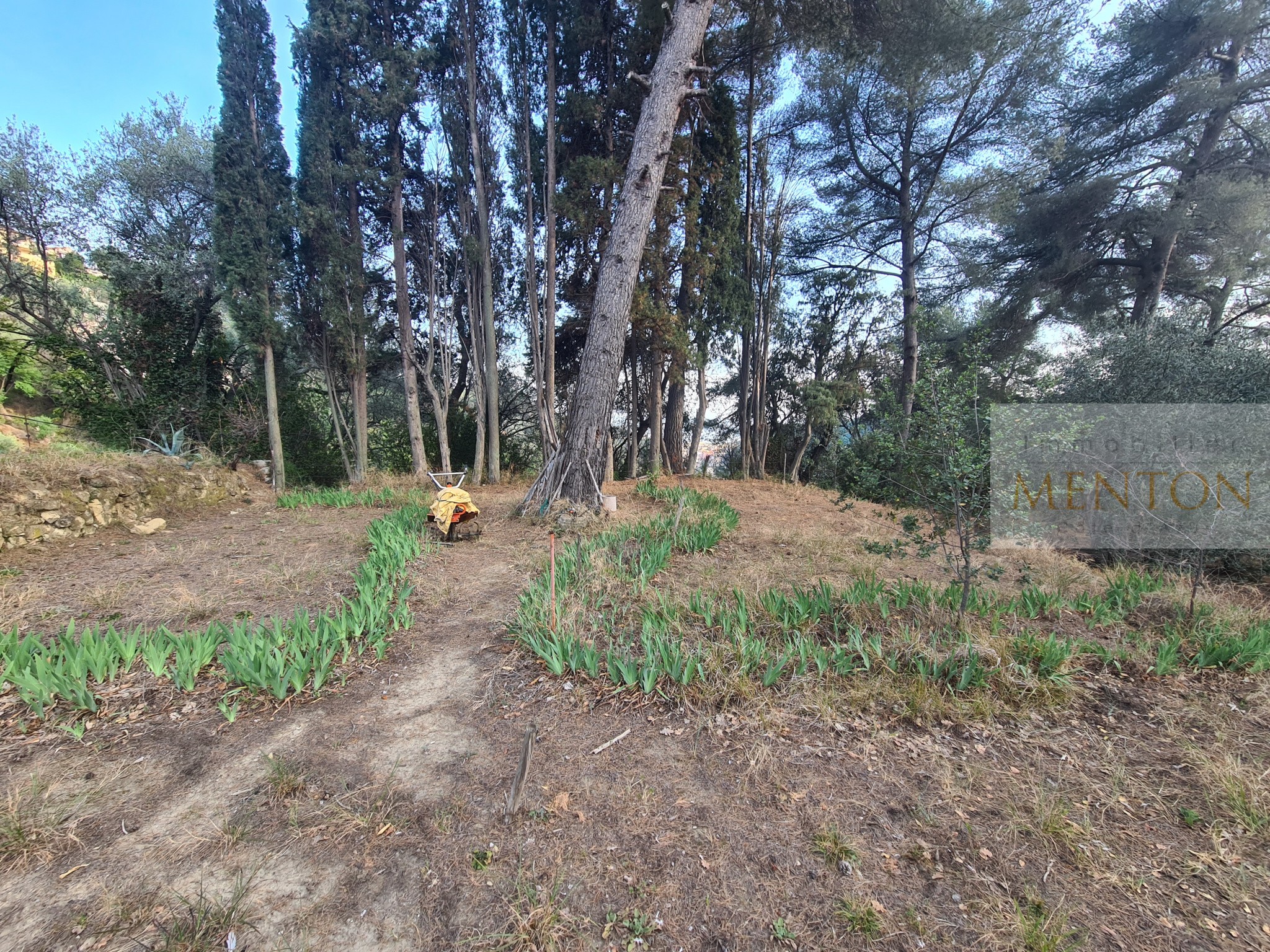 Vente Terrain à Menton 0 pièce