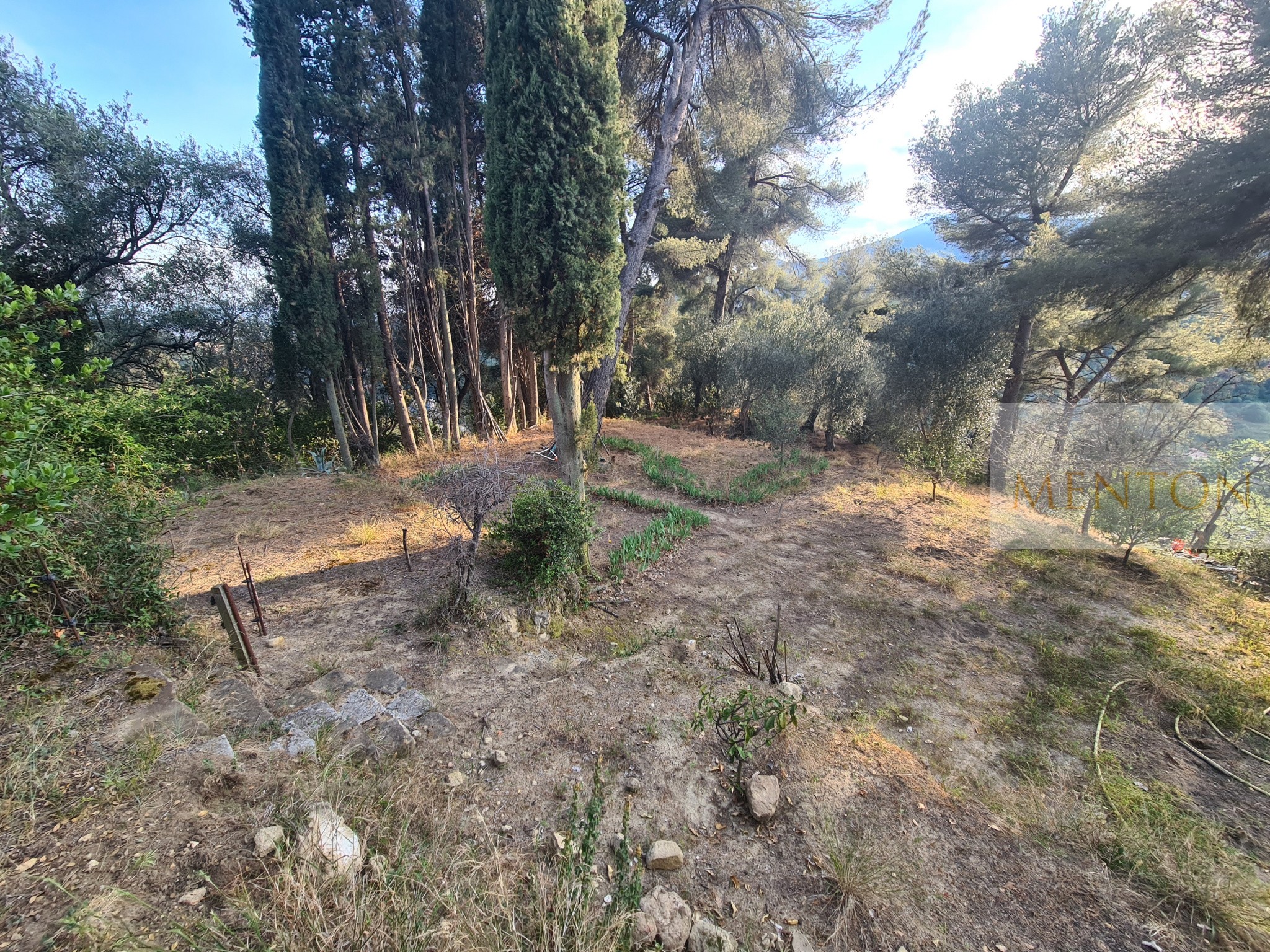 Vente Terrain à Menton 0 pièce