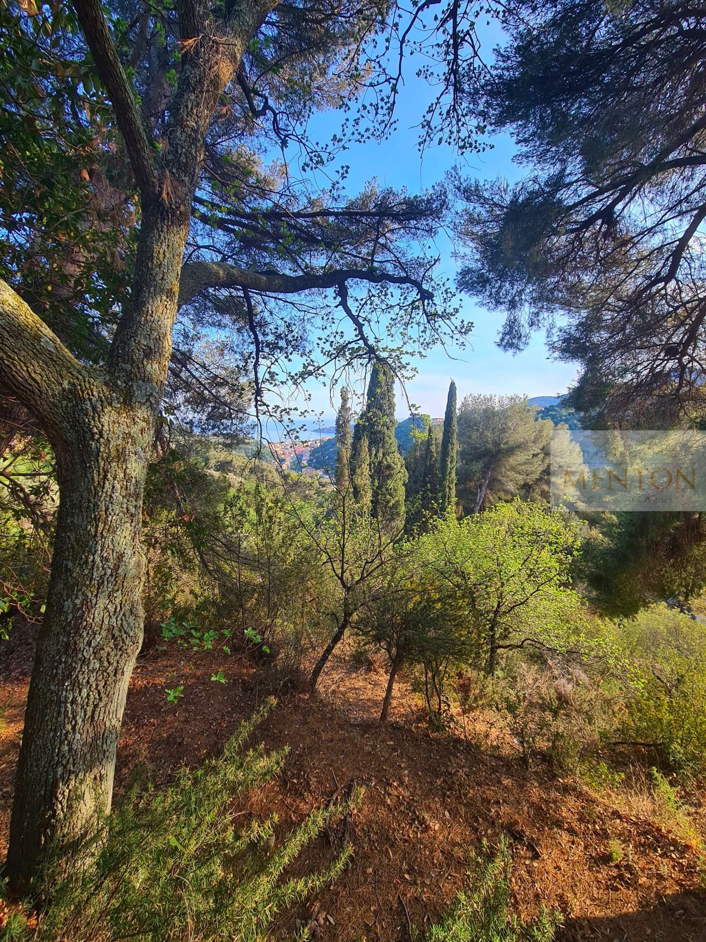 Vente Terrain à Menton 0 pièce