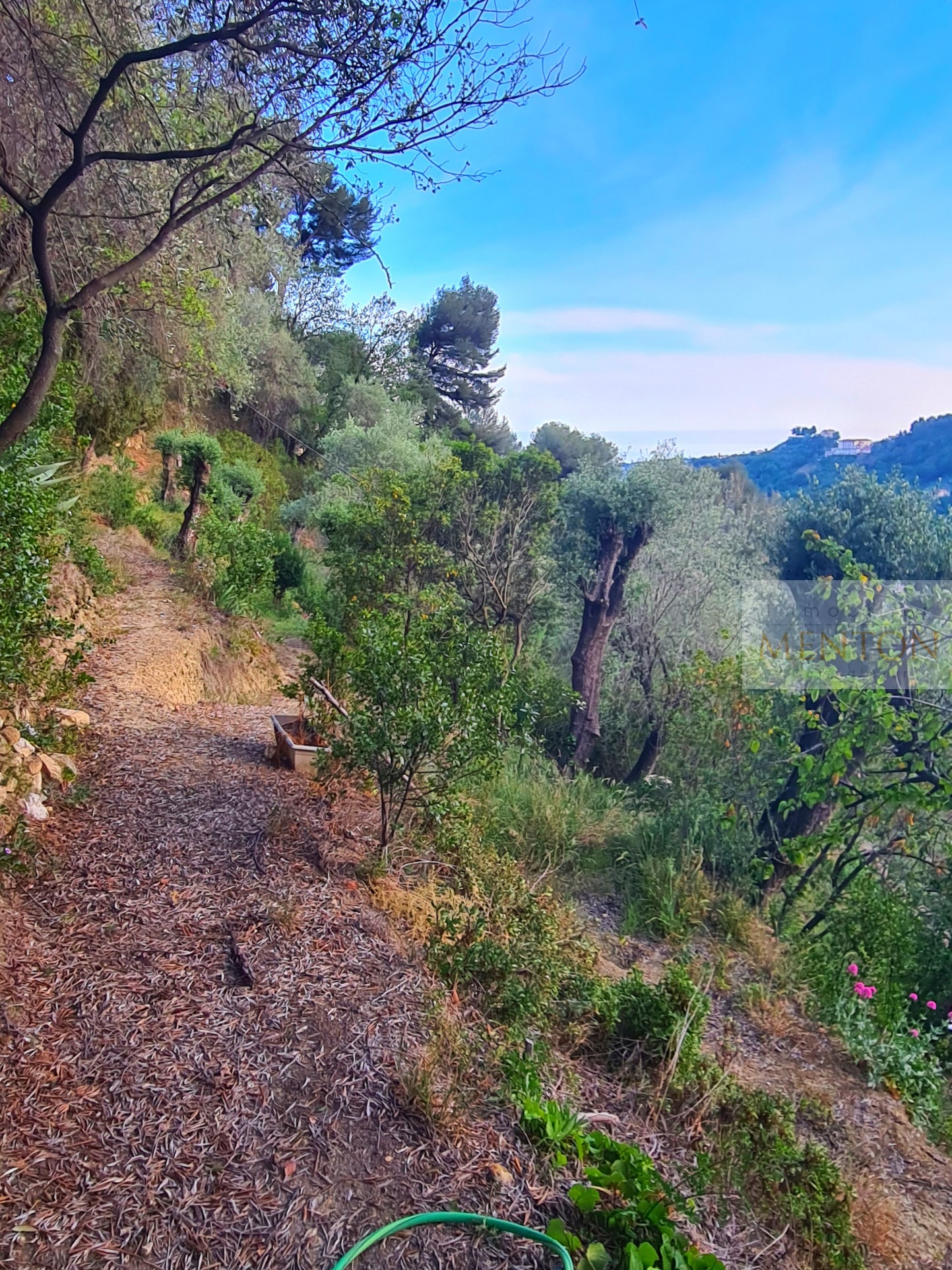 Vente Terrain à Menton 0 pièce