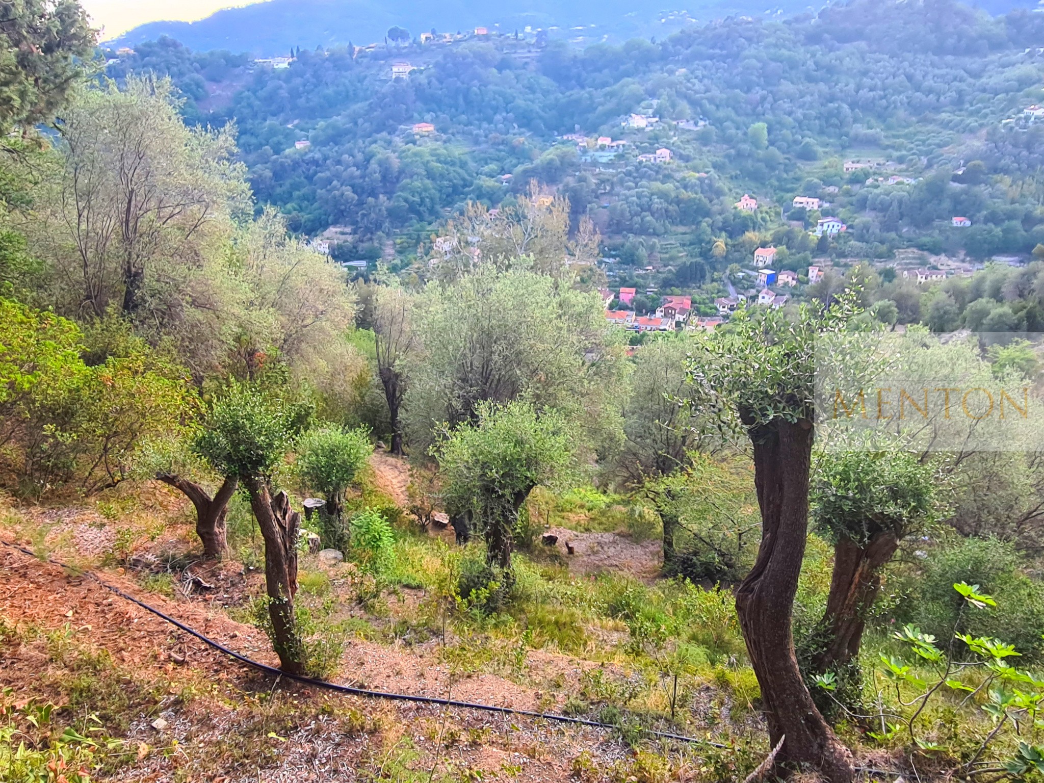 Vente Terrain à Menton 0 pièce