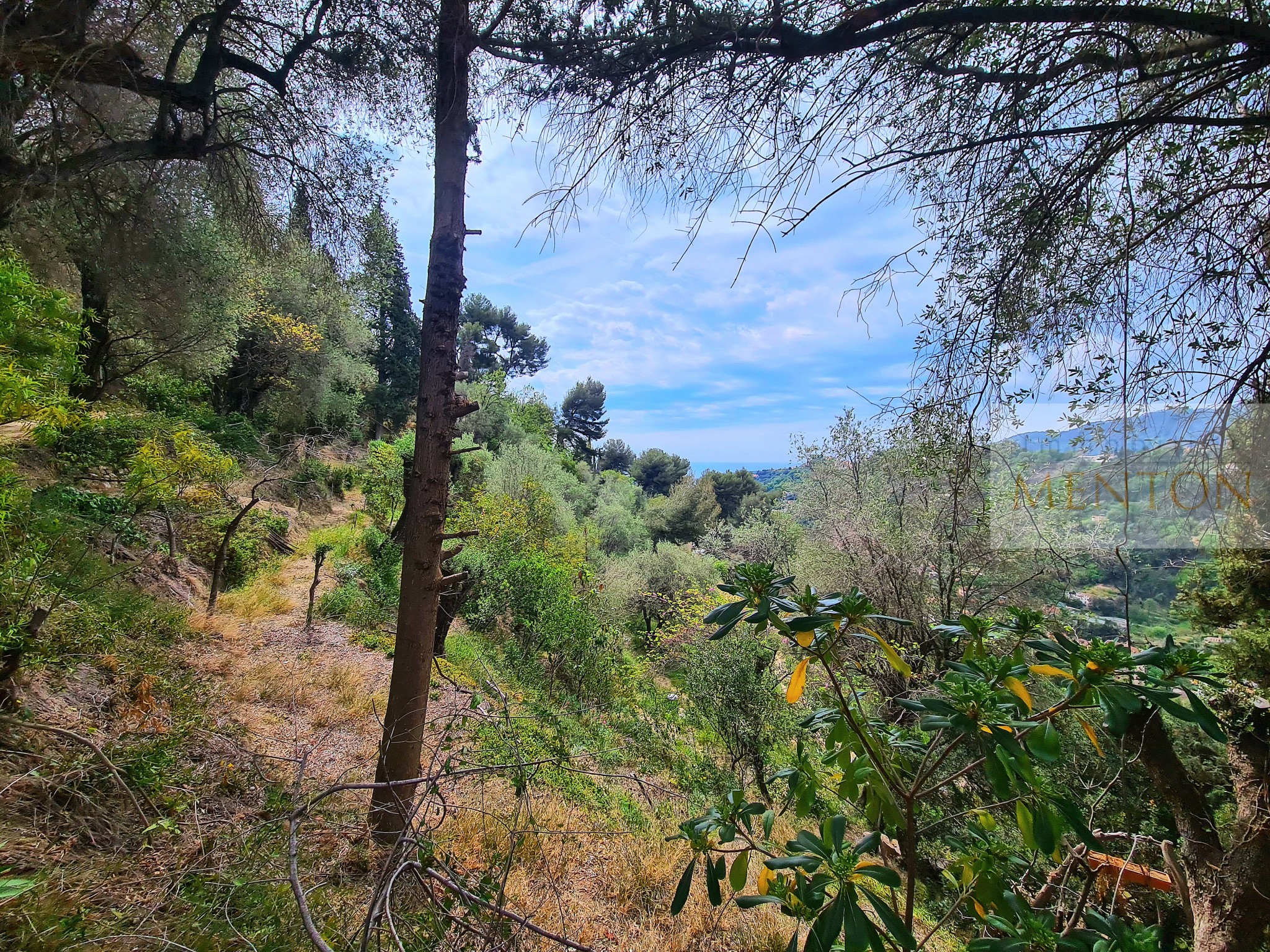 Vente Terrain à Menton 0 pièce