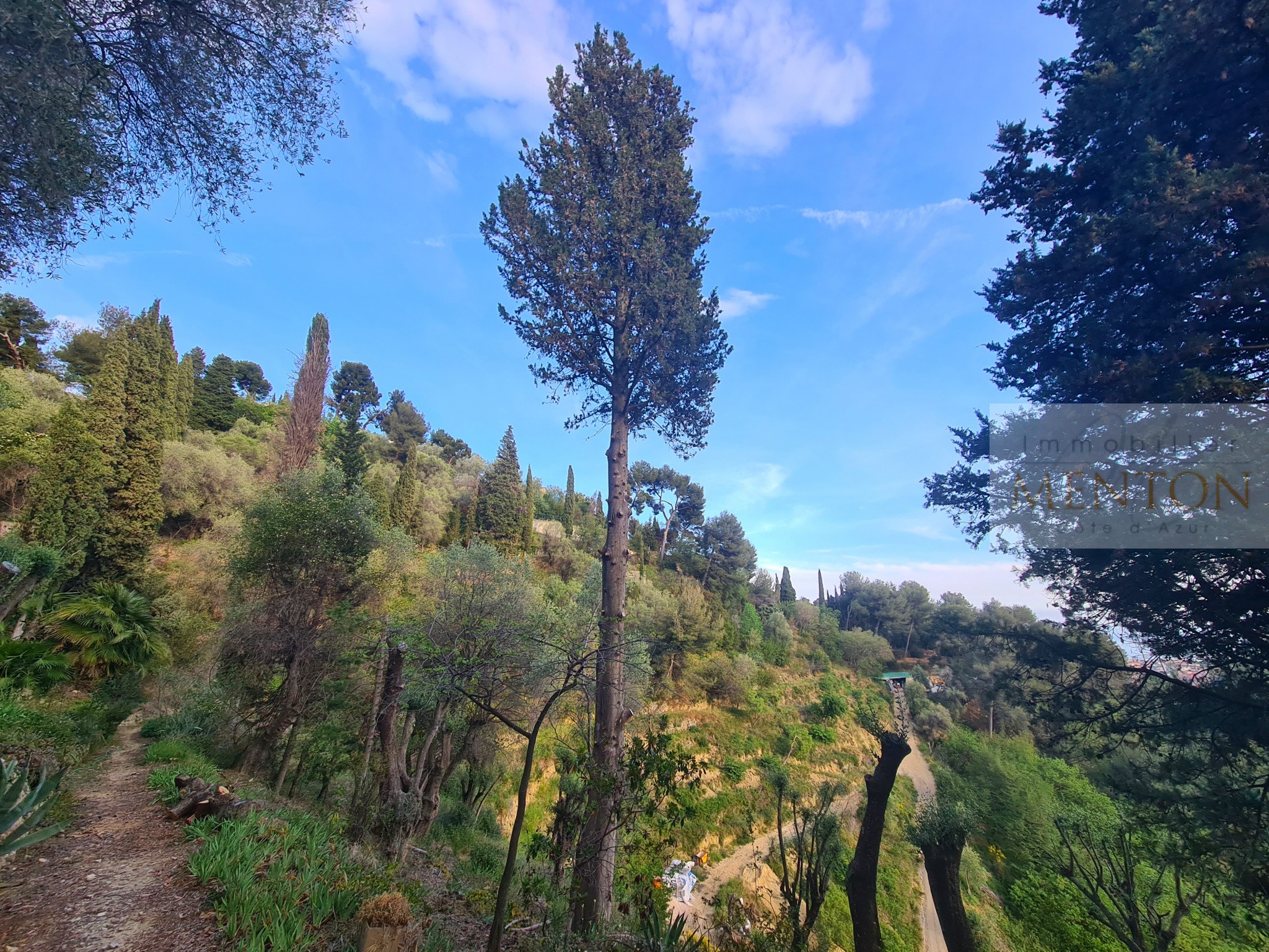 Vente Terrain à Menton 0 pièce