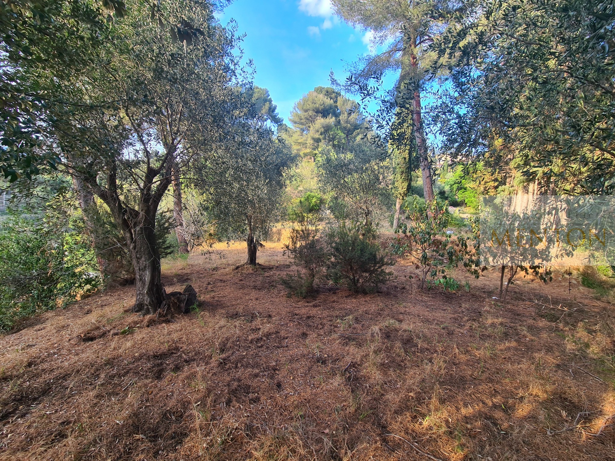 Vente Terrain à Menton 0 pièce