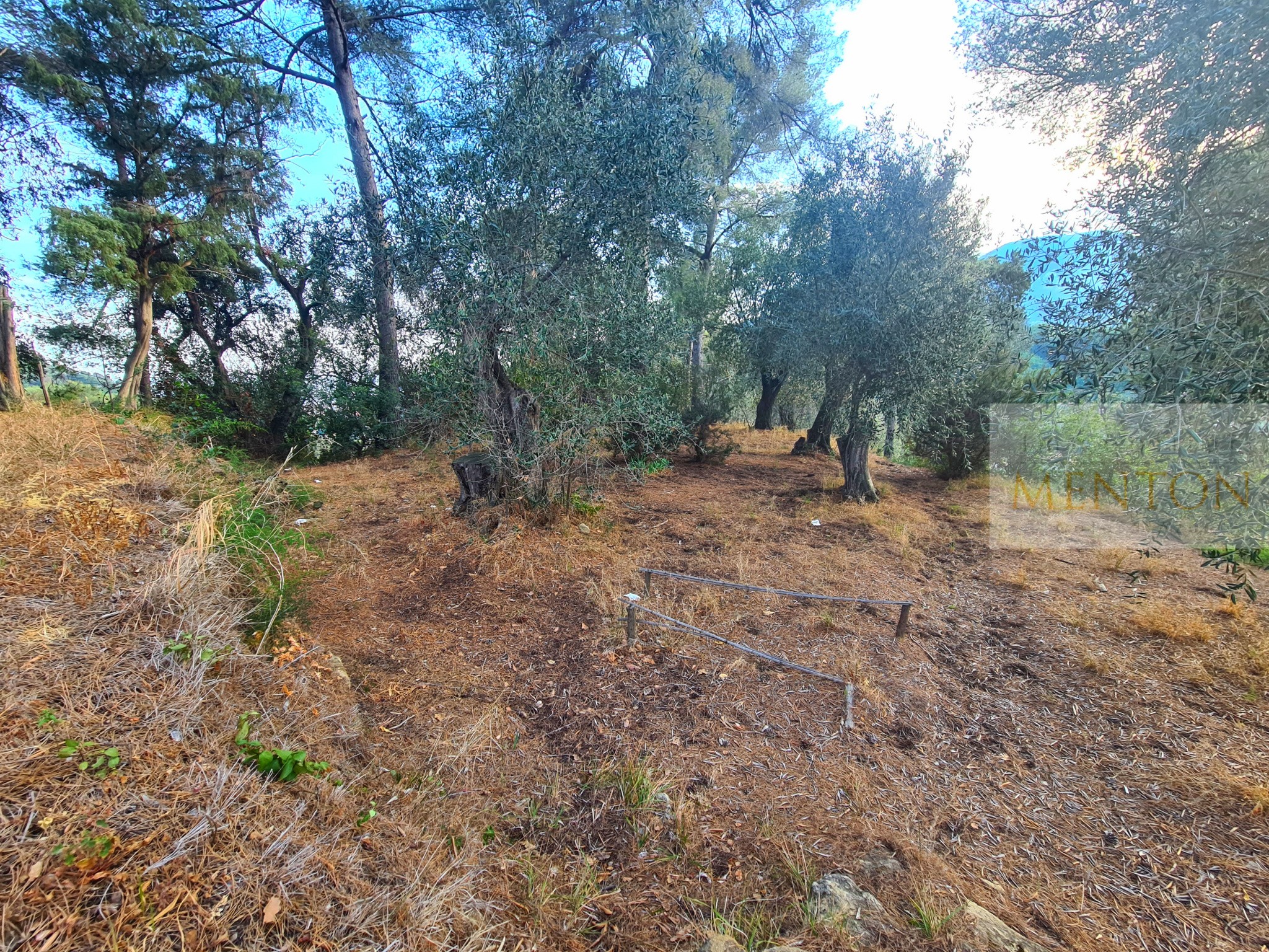 Vente Terrain à Menton 0 pièce