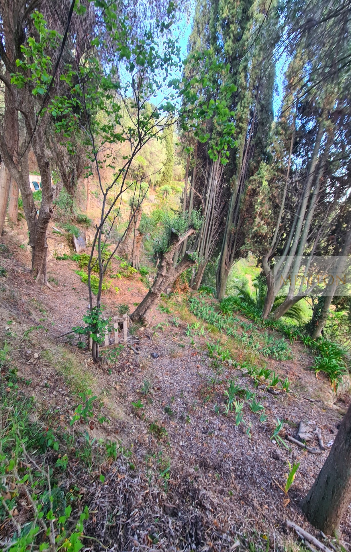 Vente Terrain à Menton 0 pièce