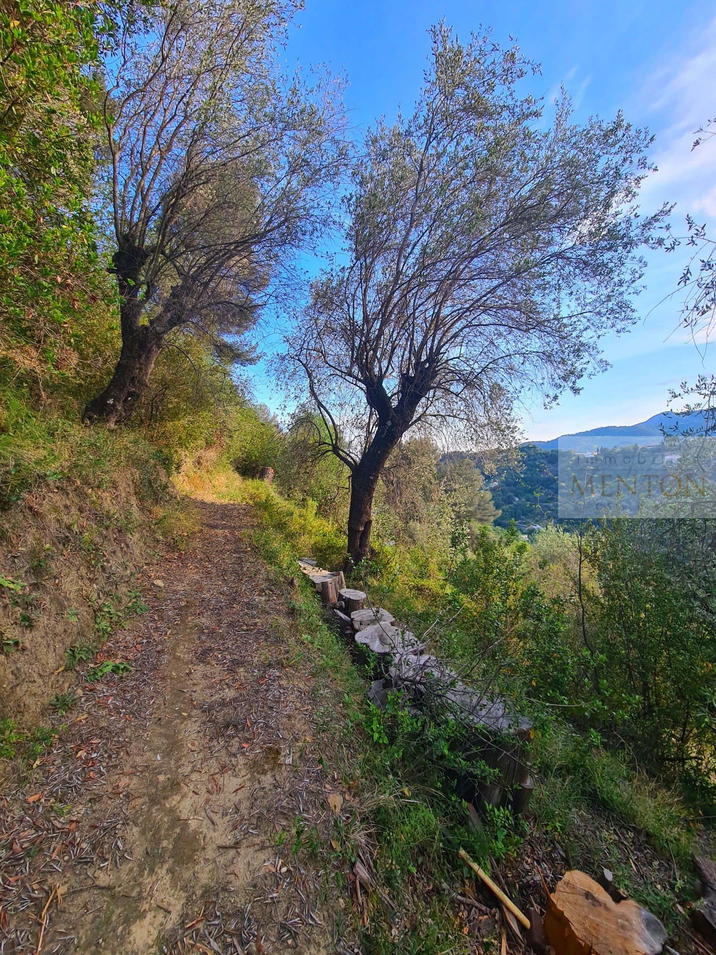 Vente Terrain à Menton 0 pièce