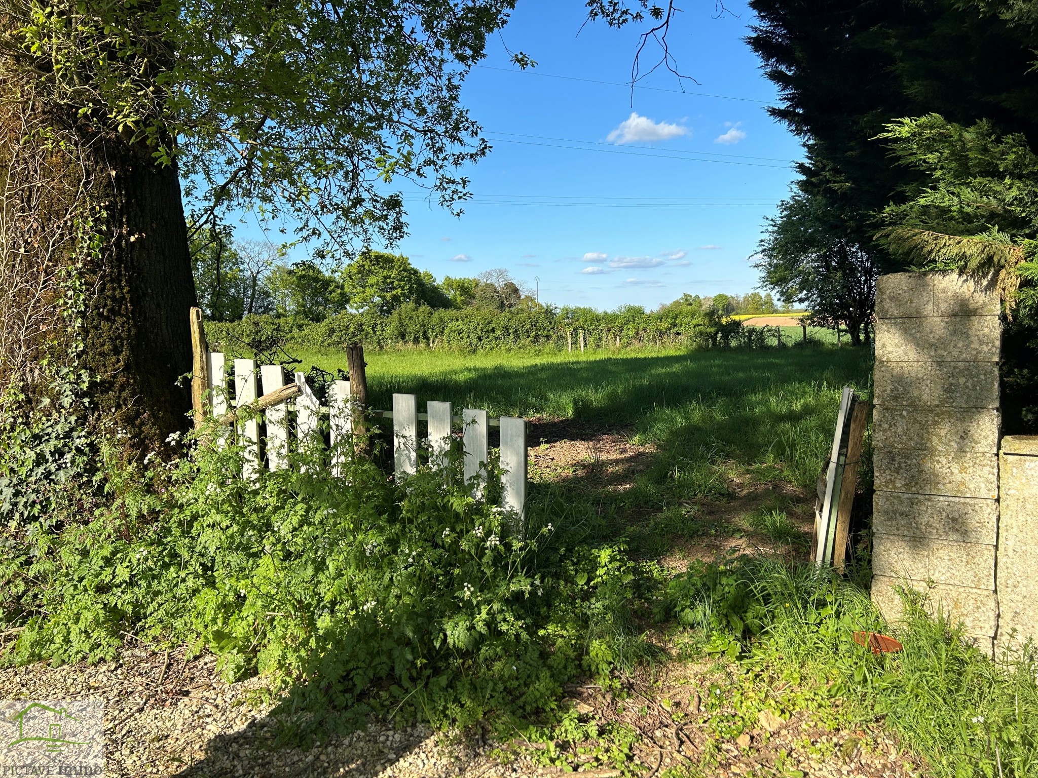 Vente Terrain à Lusignan 0 pièce