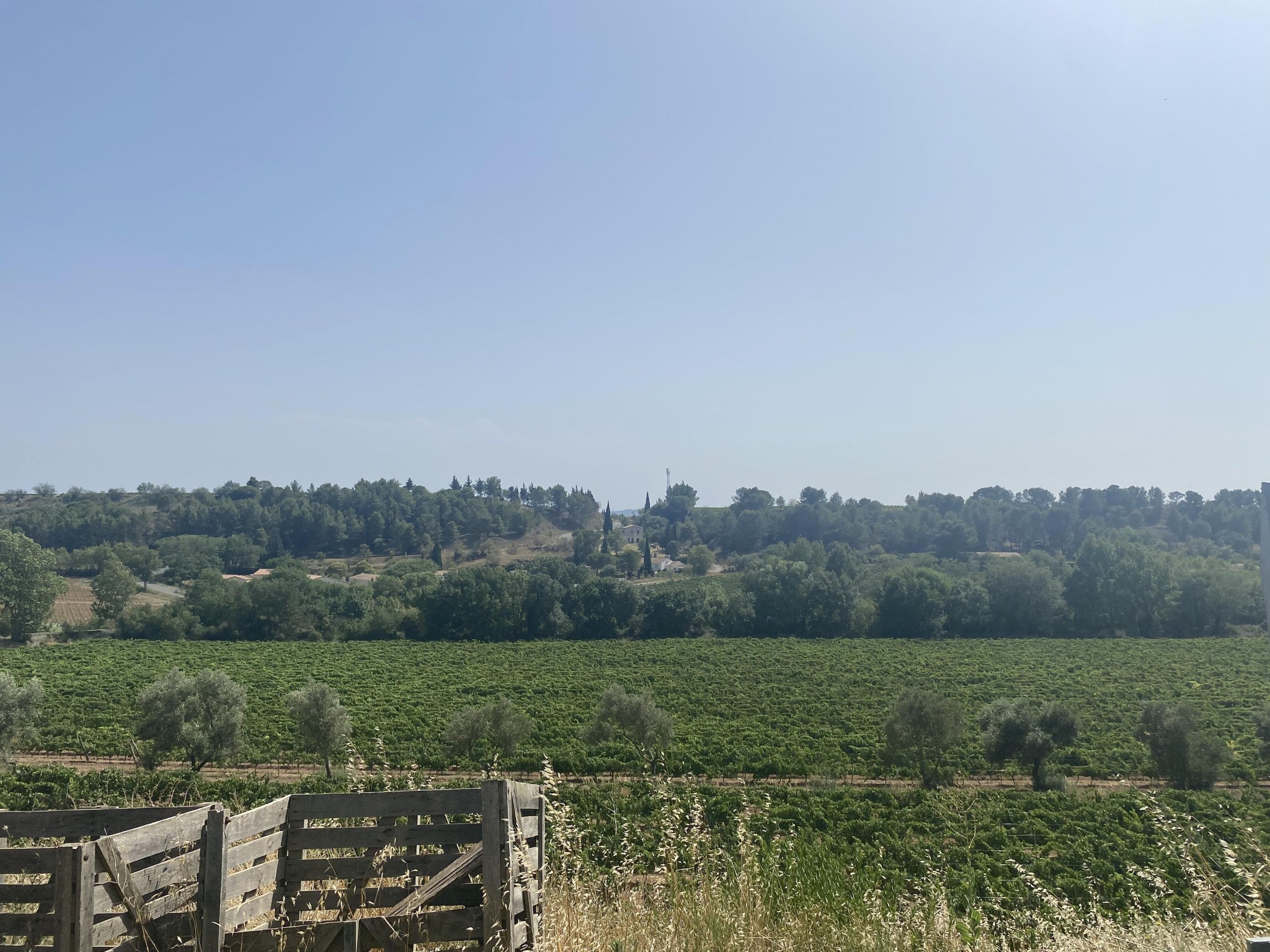 Vente Terrain à Rieux-Minervois 0 pièce