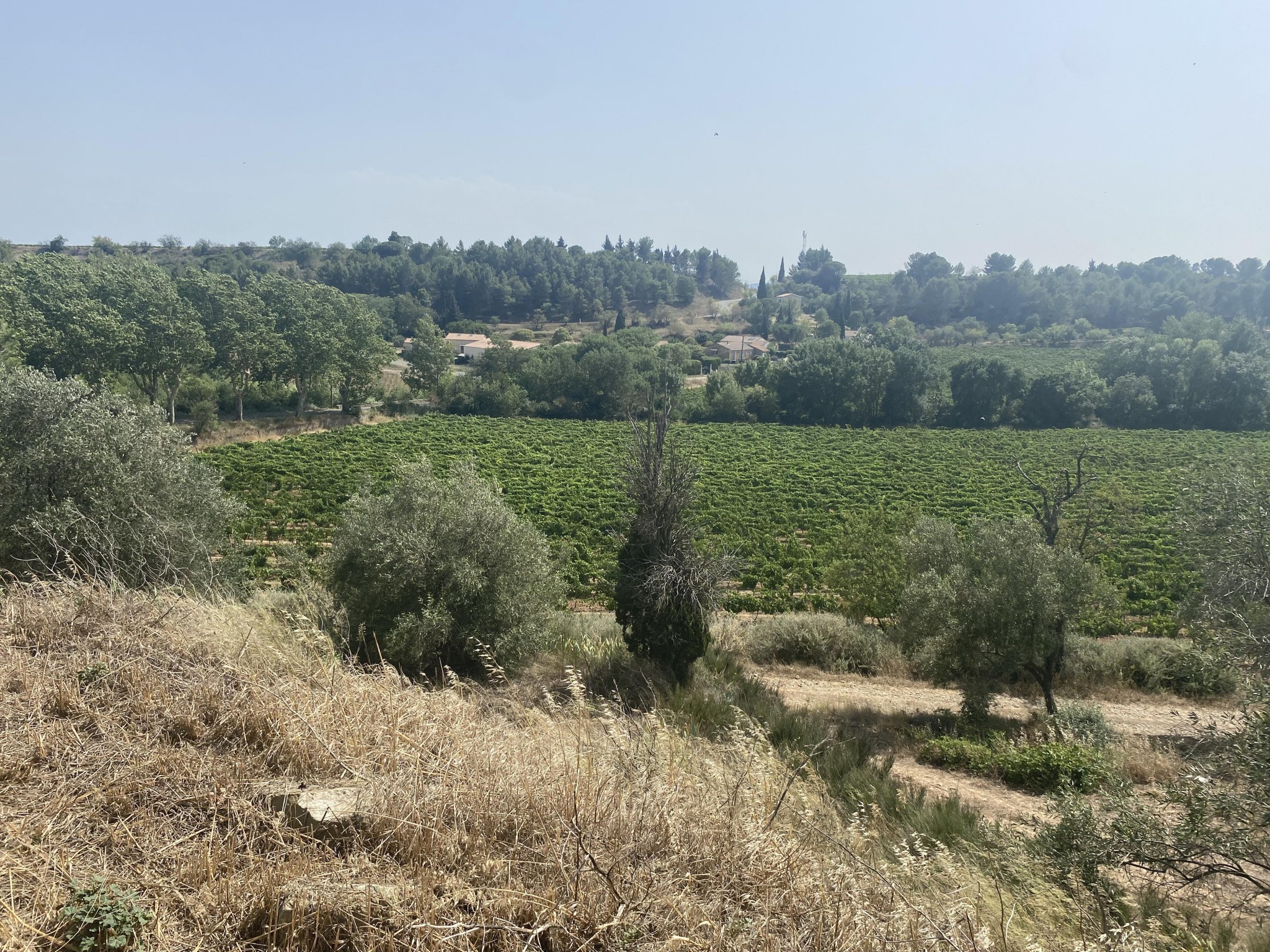 Vente Terrain à Rieux-Minervois 0 pièce