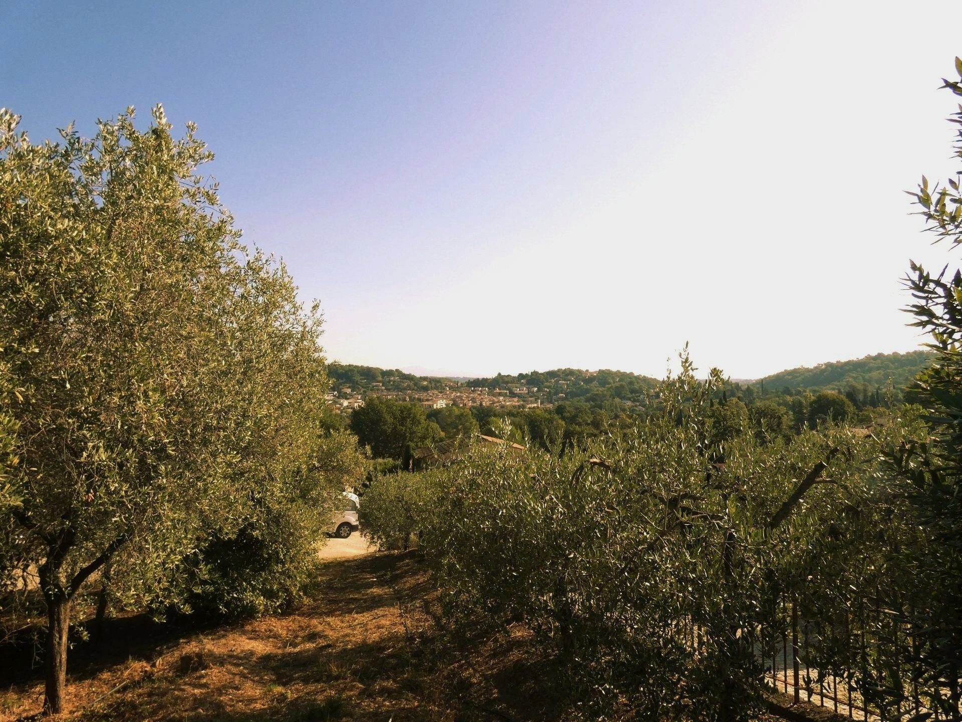 Vente Terrain à Valbonne 0 pièce