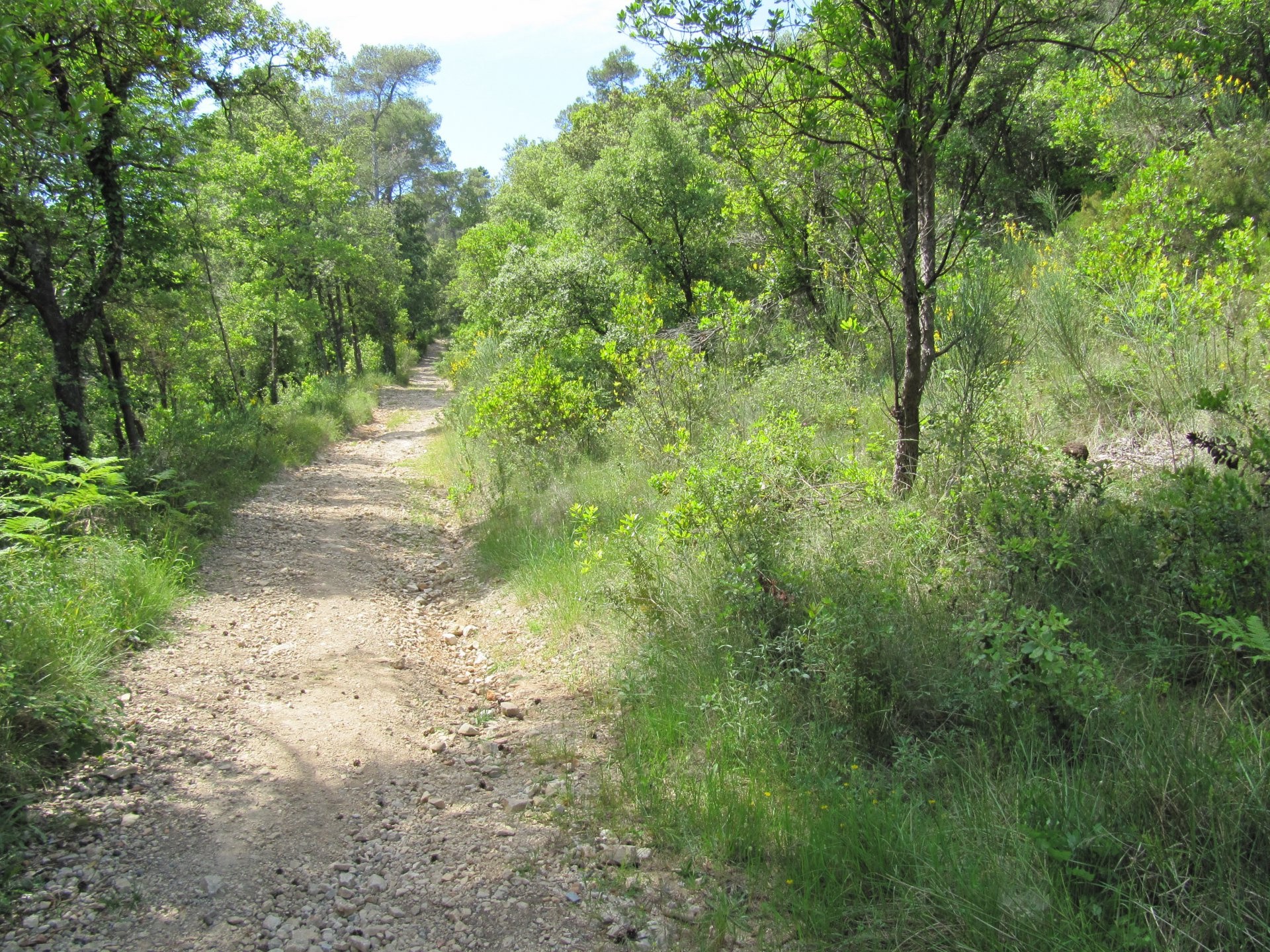 Vente Terrain à Valbonne 0 pièce