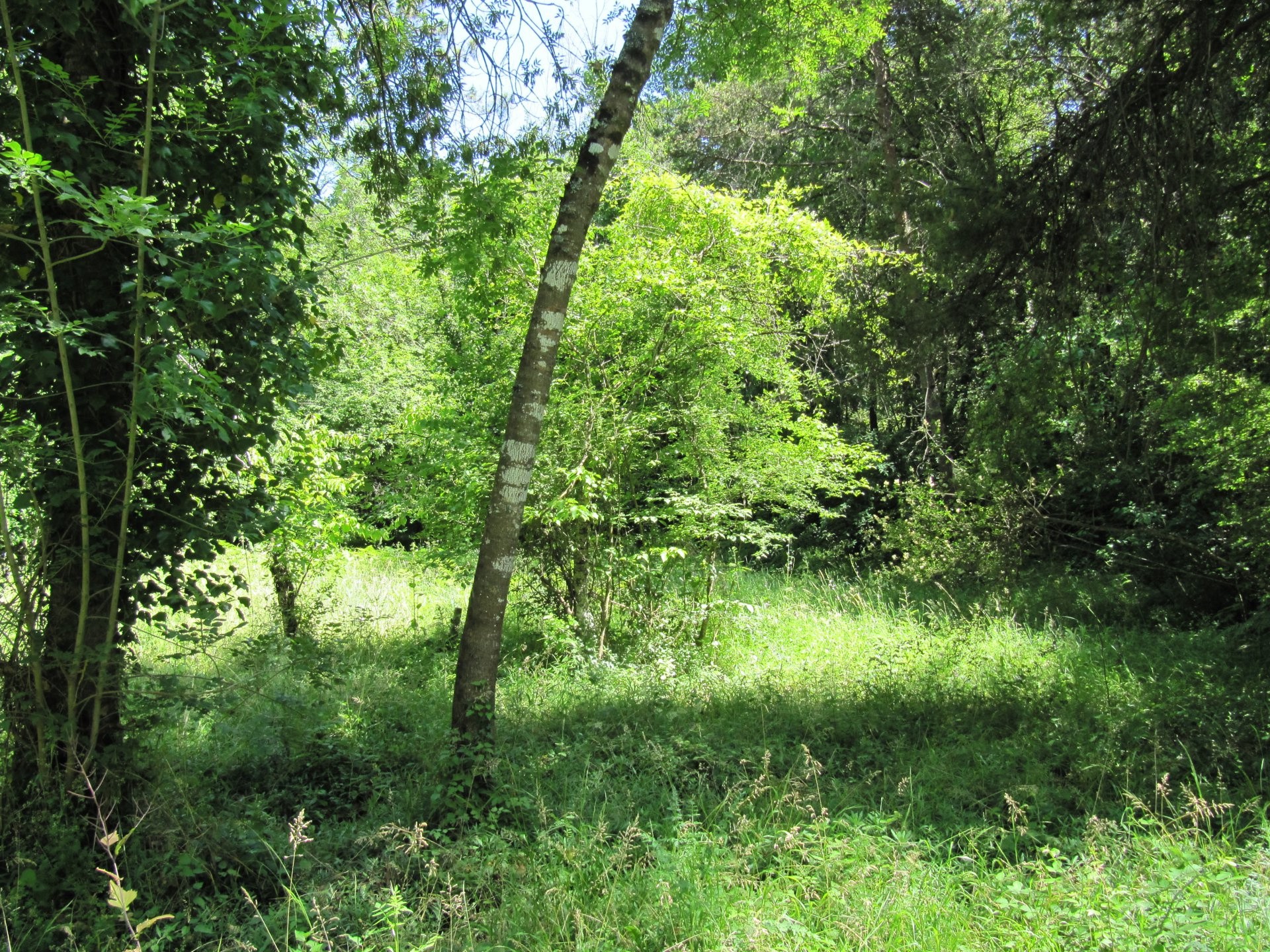 Vente Terrain à Valbonne 0 pièce