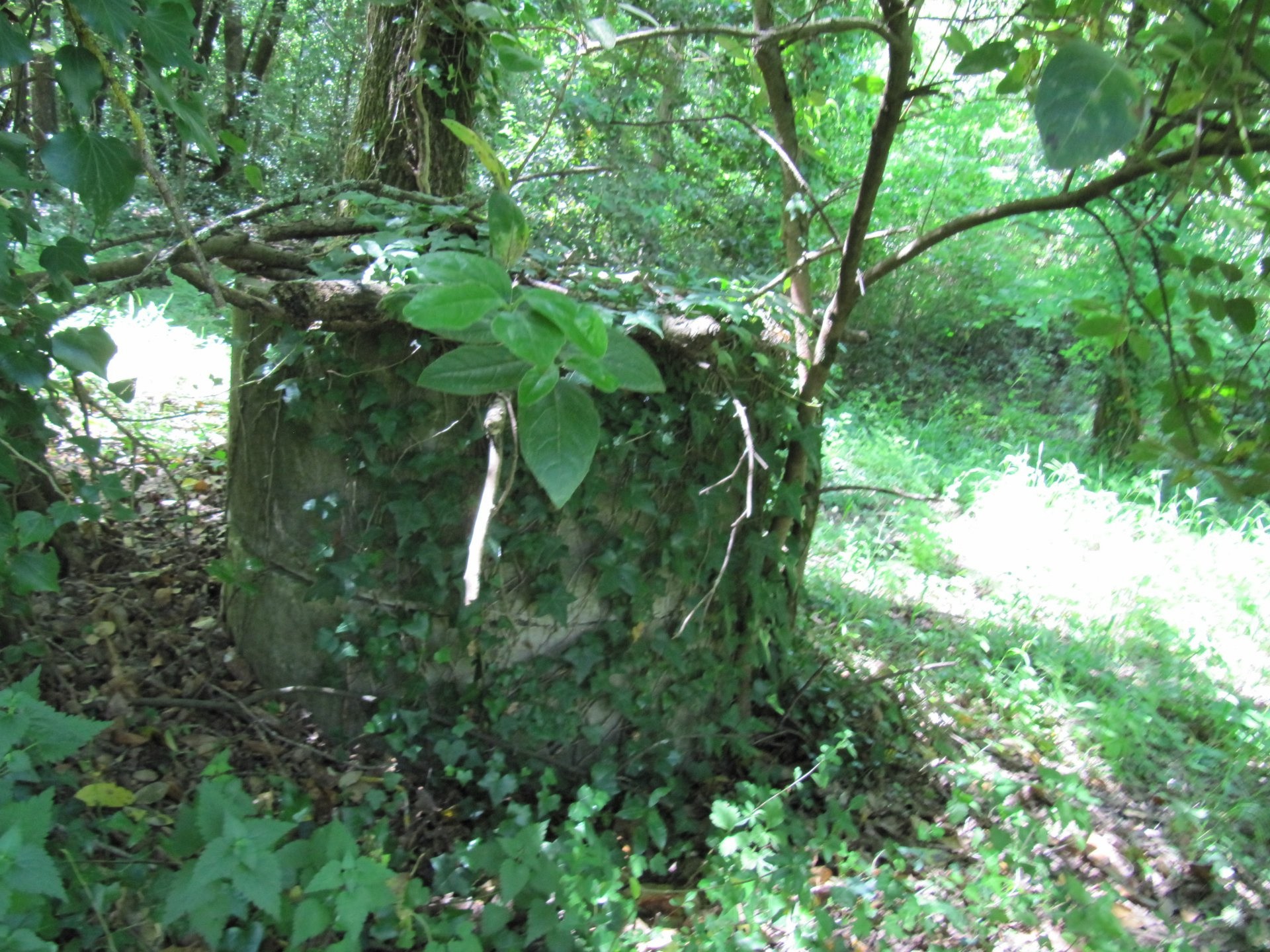 Vente Terrain à Valbonne 0 pièce