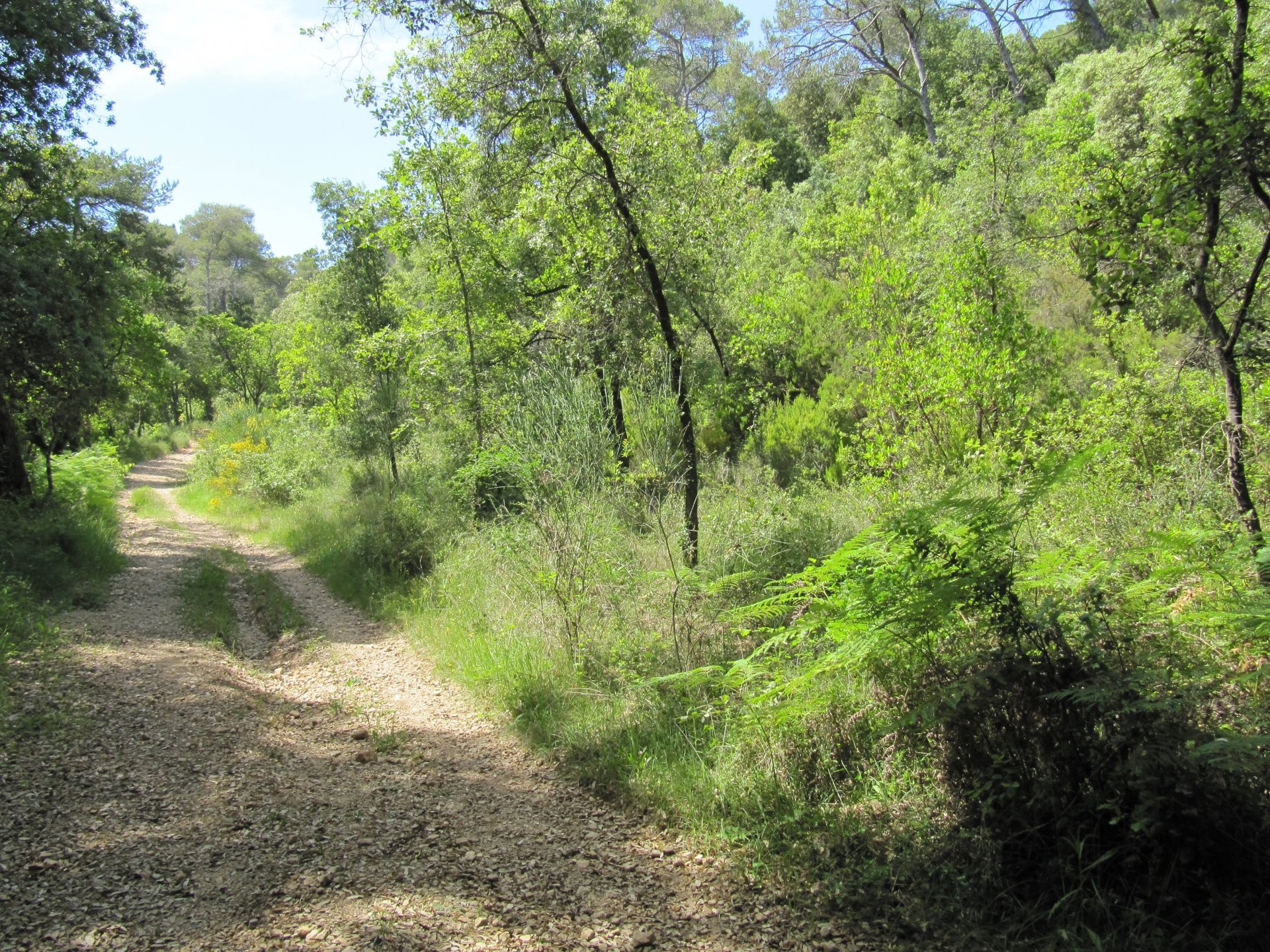 Vente Terrain à Valbonne 0 pièce