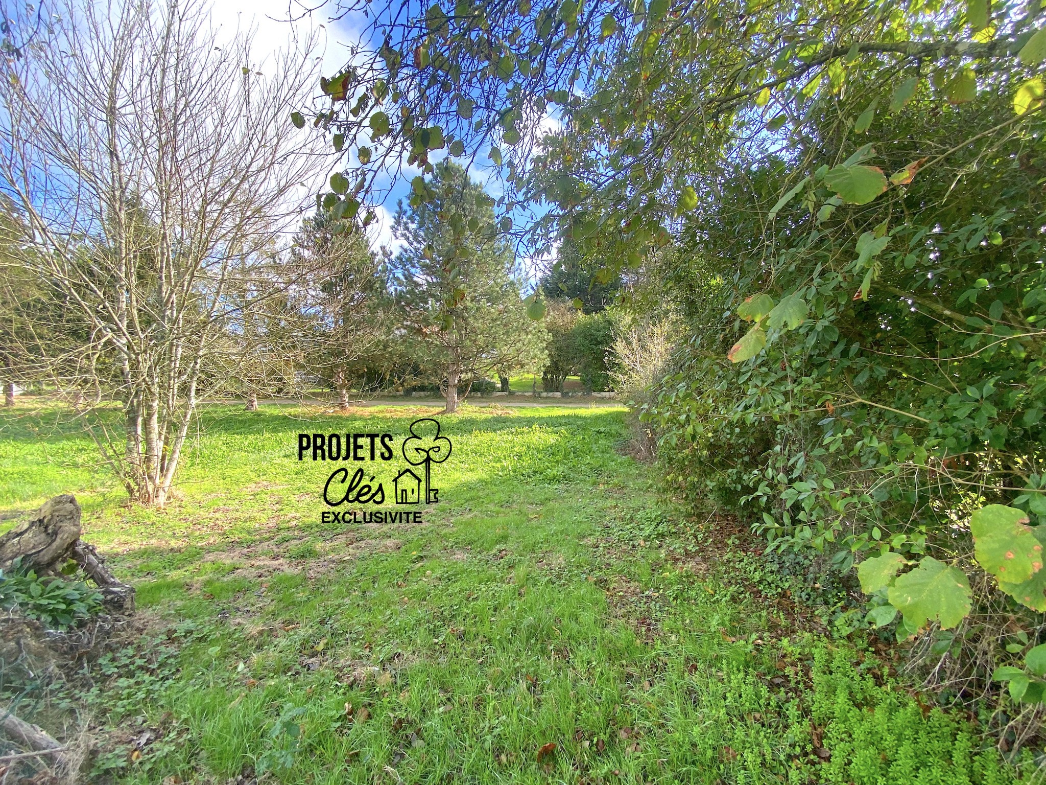 Vente Terrain à Landeronde 0 pièce