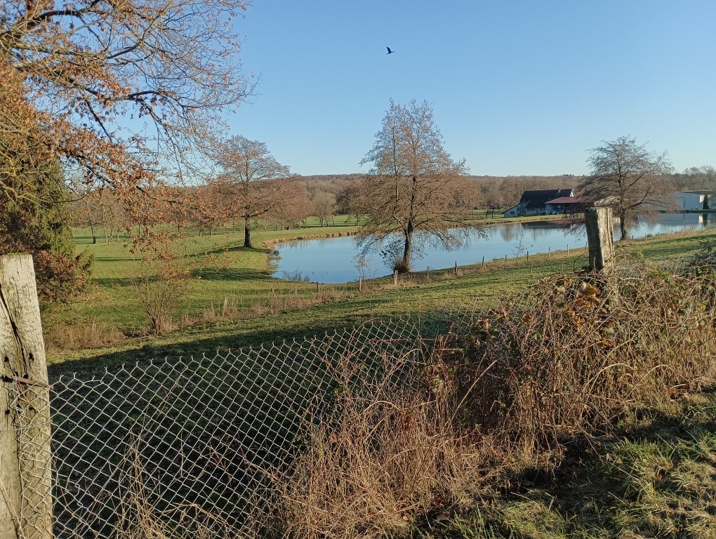 Vente Terrain à Angeot 0 pièce