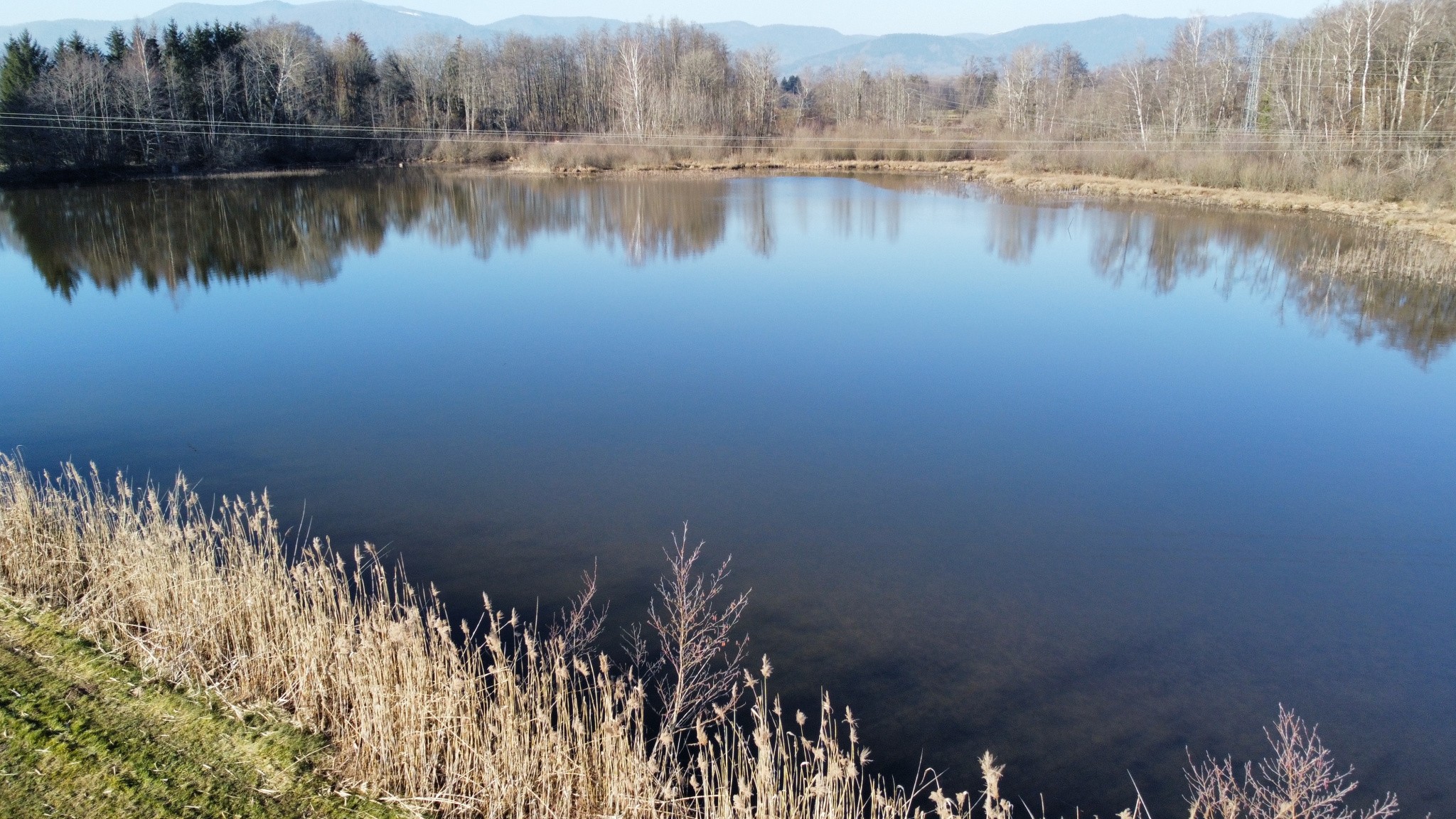 Vente Terrain à Sermamagny 0 pièce