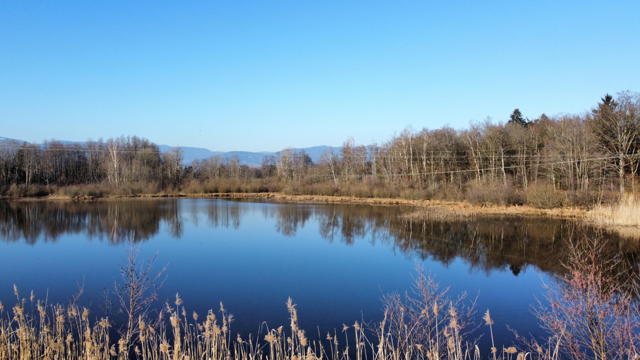 Vente Terrain à Sermamagny 0 pièce