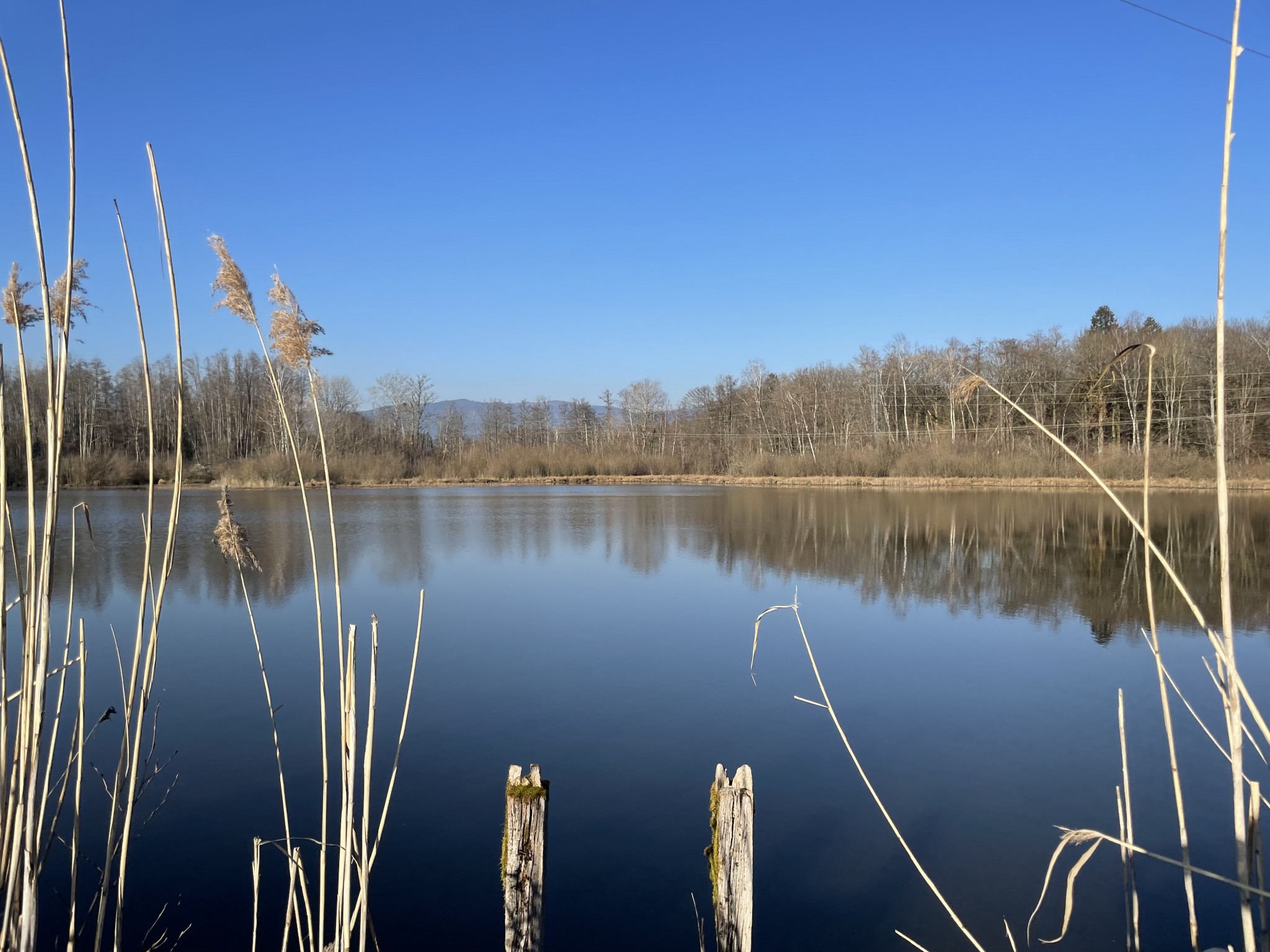 Vente Terrain à Sermamagny 0 pièce