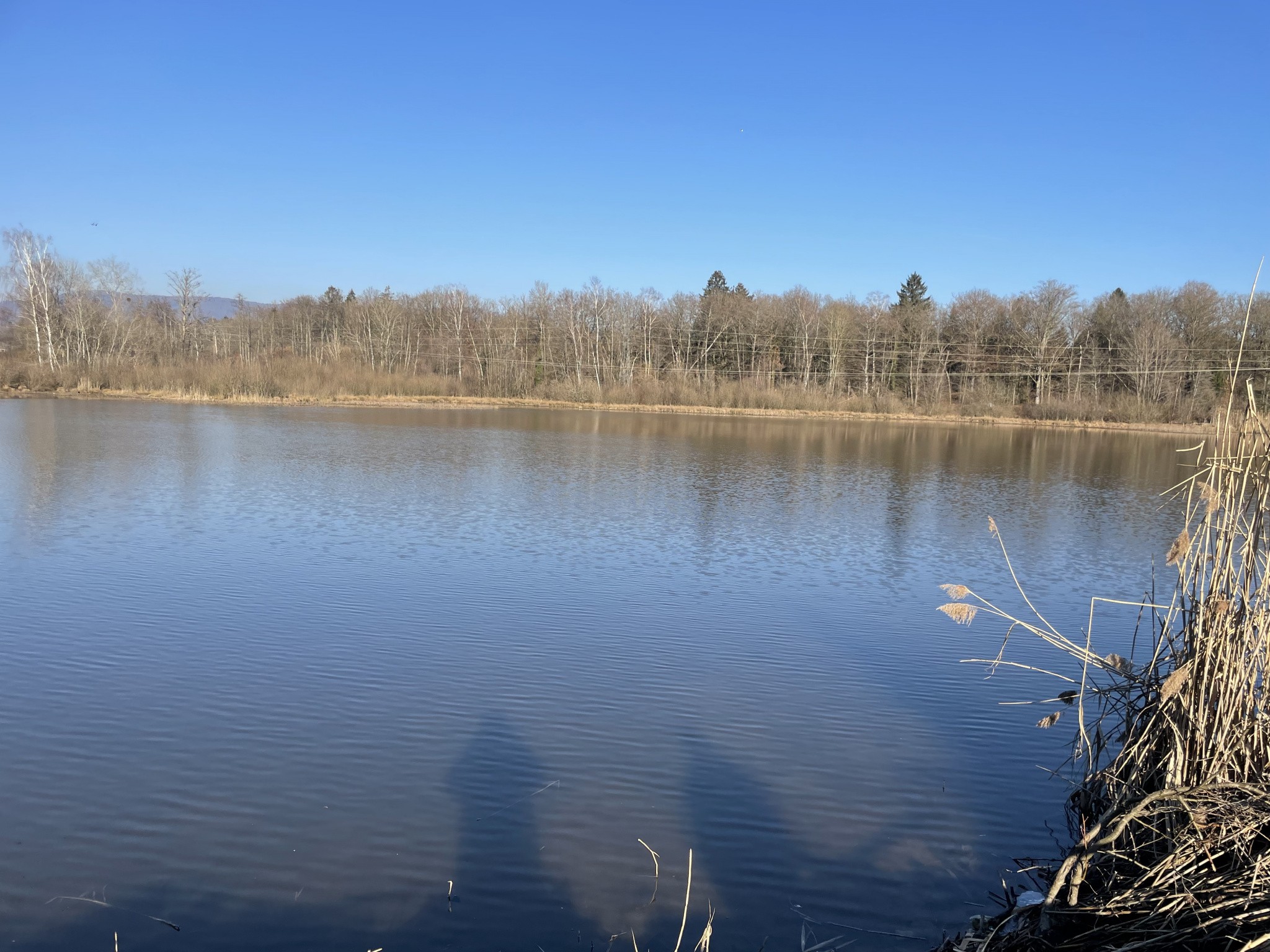 Vente Terrain à Sermamagny 0 pièce