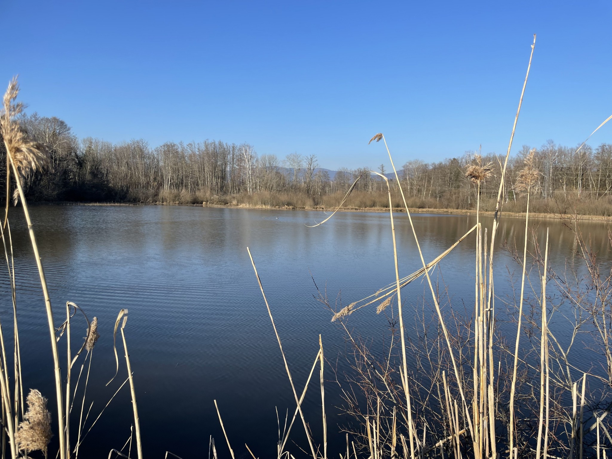 Vente Terrain à Sermamagny 0 pièce