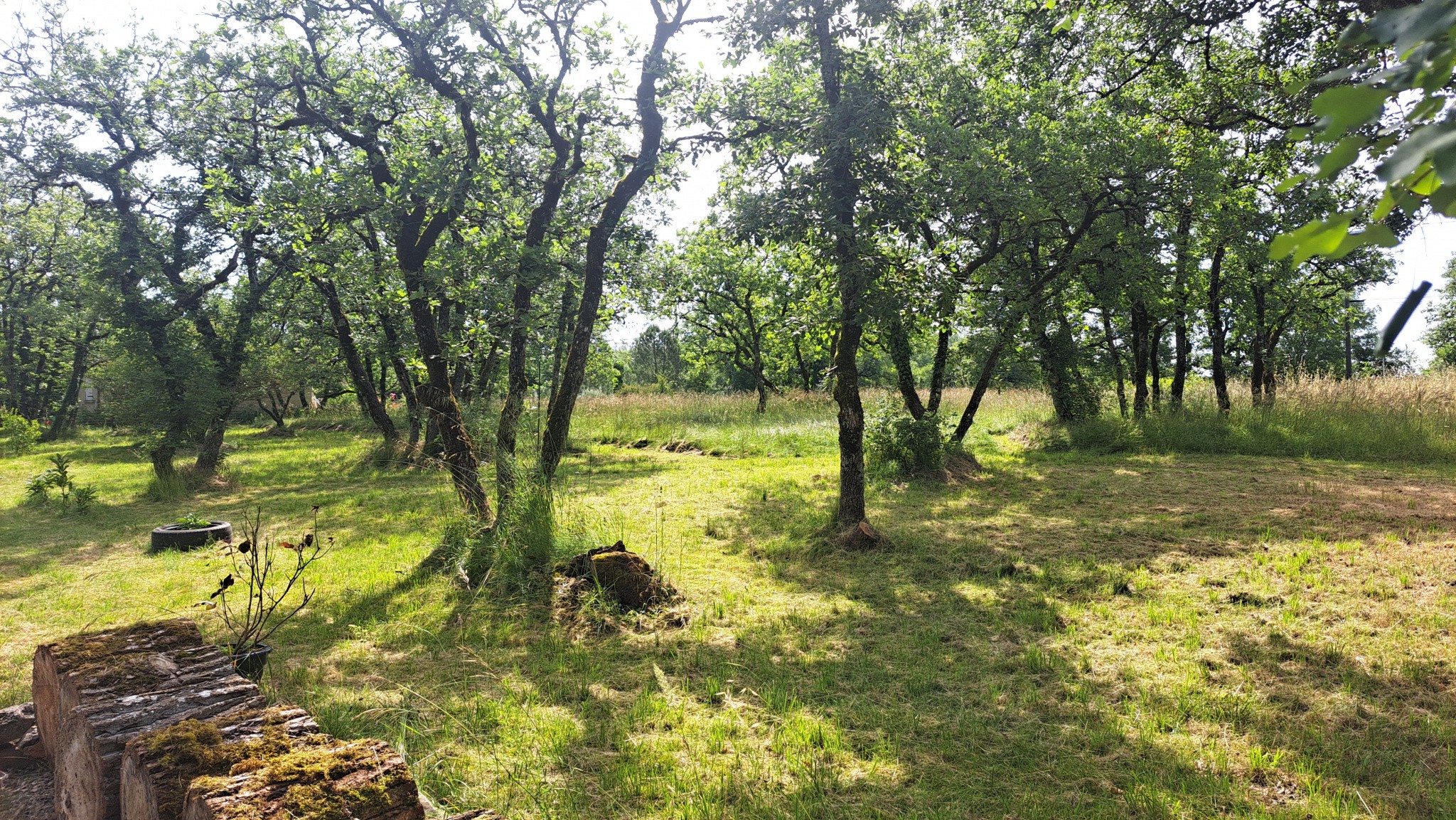 Vente Maison à Caylus 3 pièces