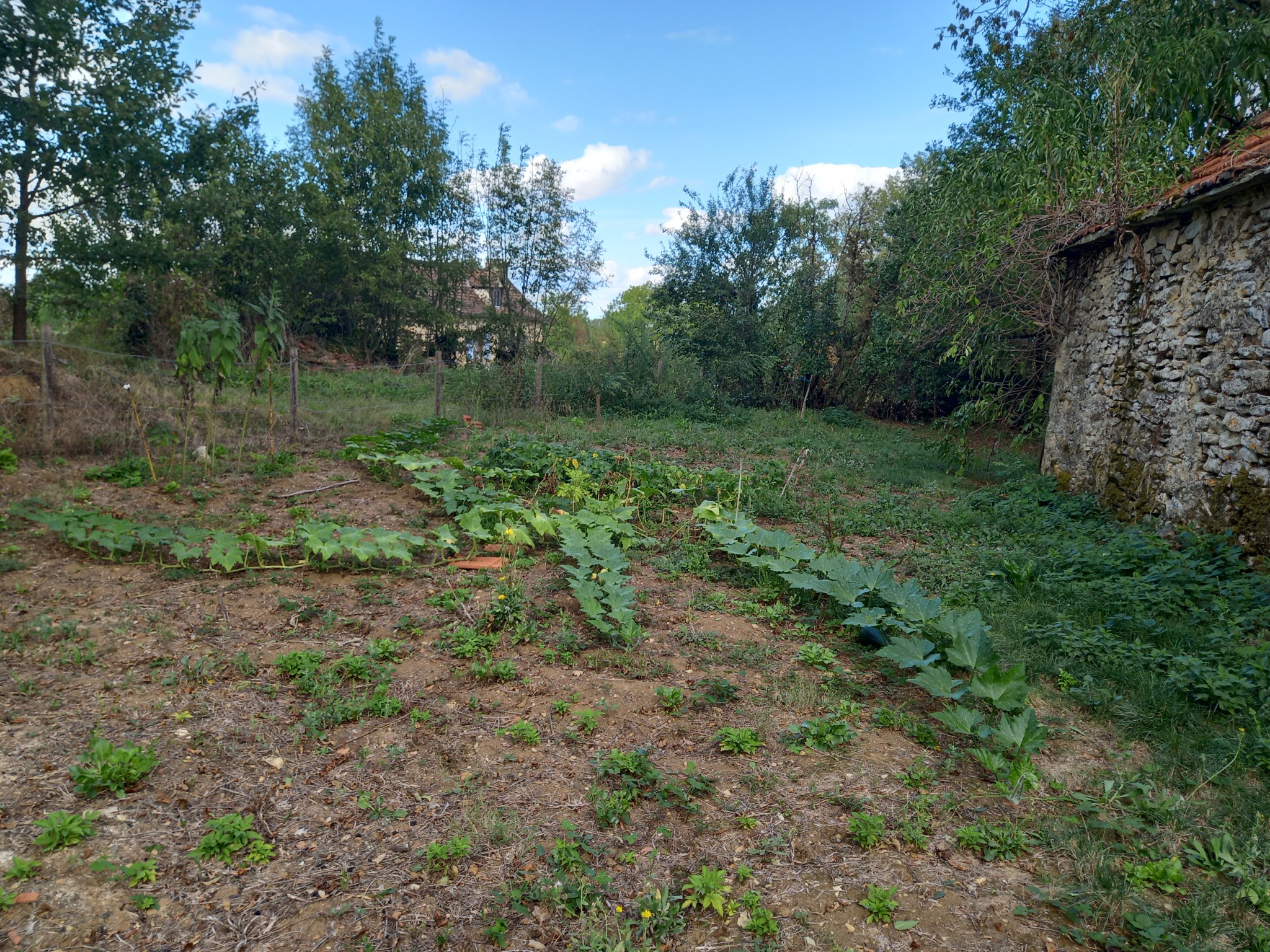 Vente Maison à Parisot 4 pièces