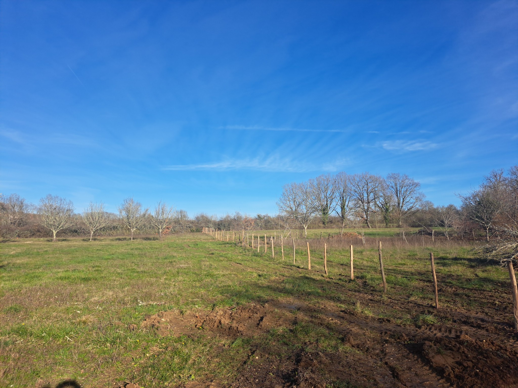 Vente Terrain à Puylaroque 0 pièce