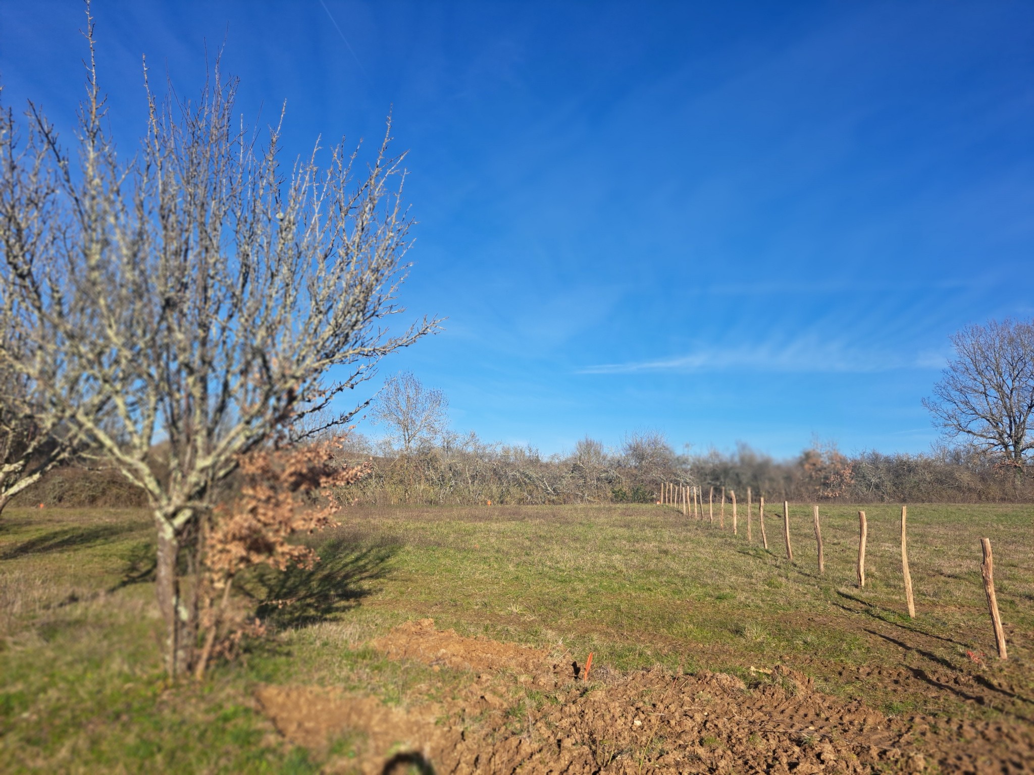 Vente Terrain à Puylaroque 0 pièce